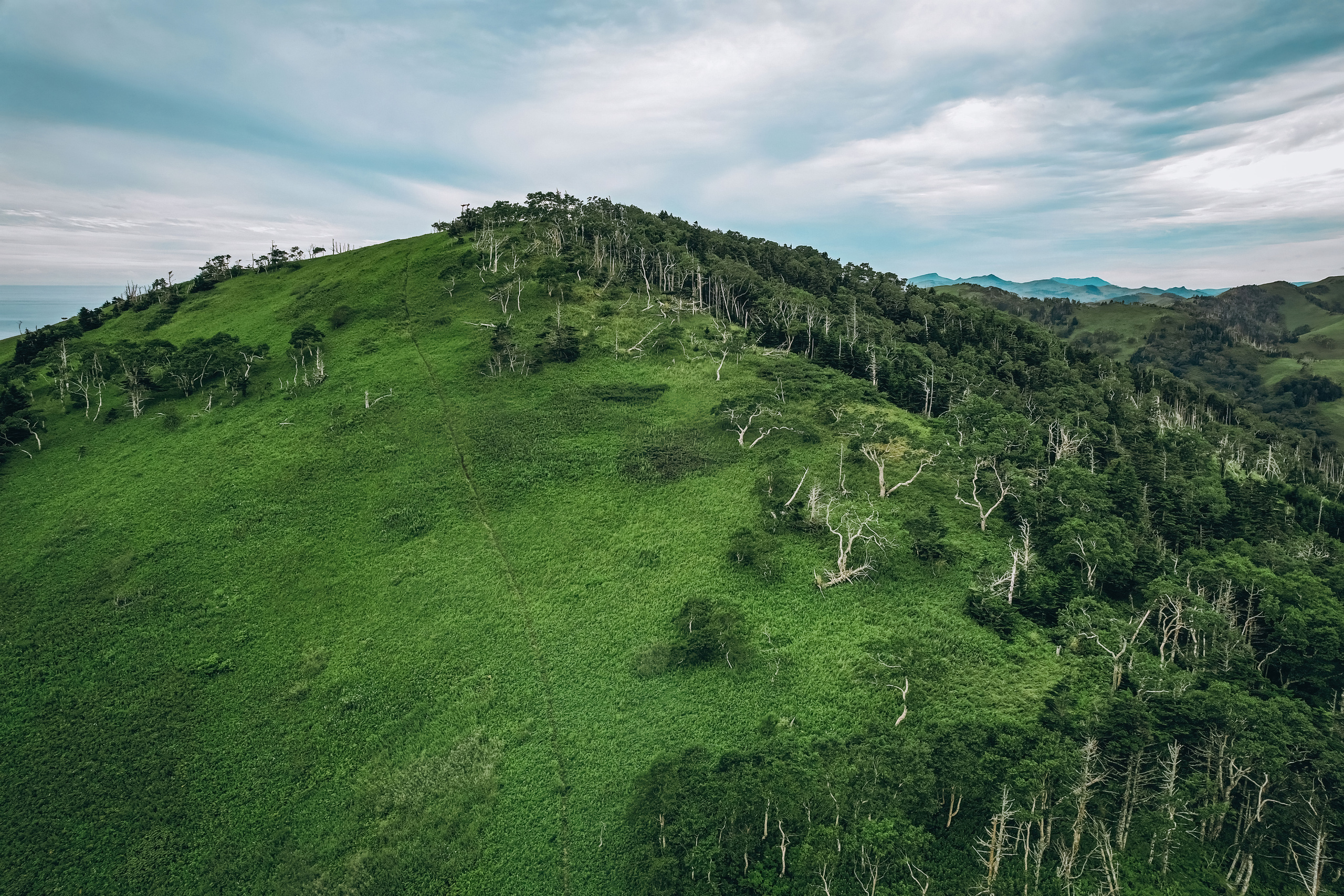 Сахалин. Event фотограф Степанова Александра