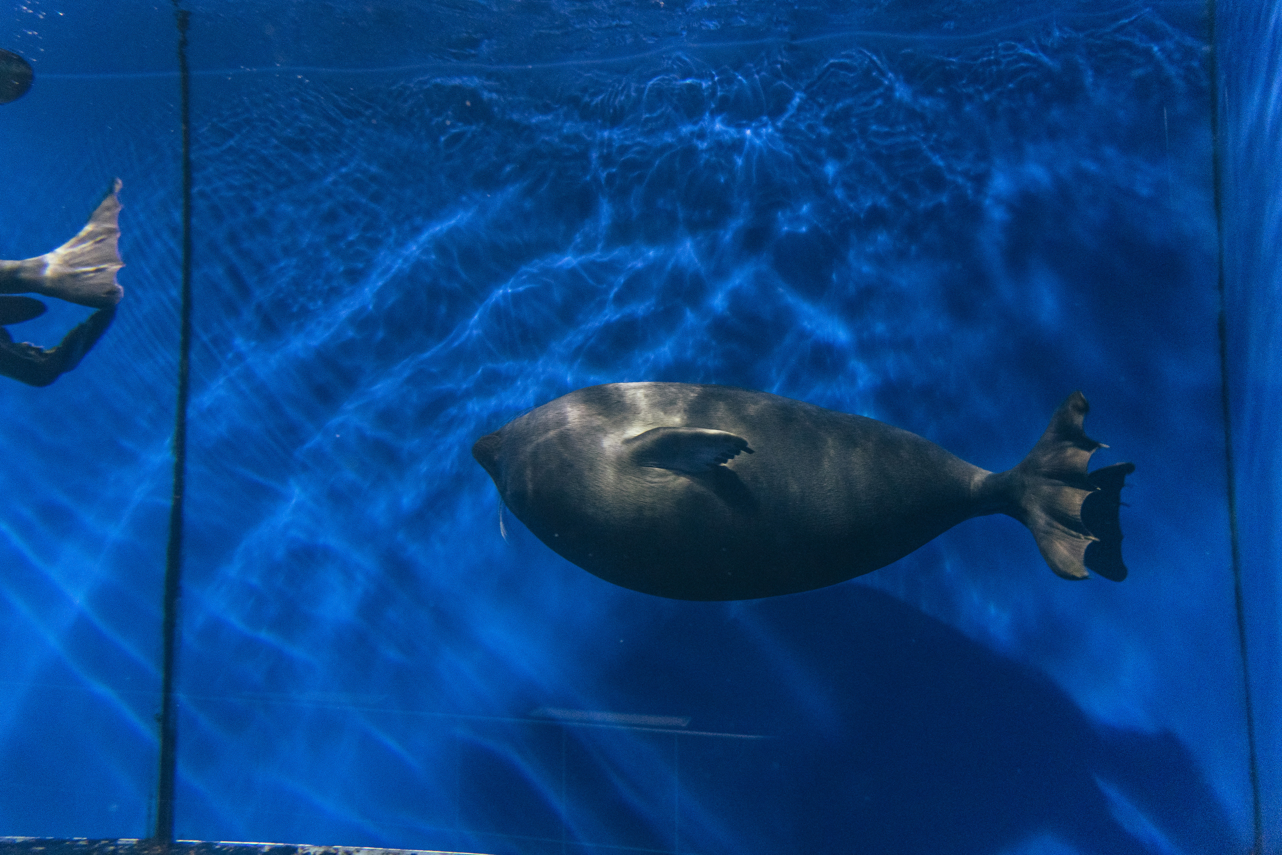 Байкал. Event фотограф Степанова Александра