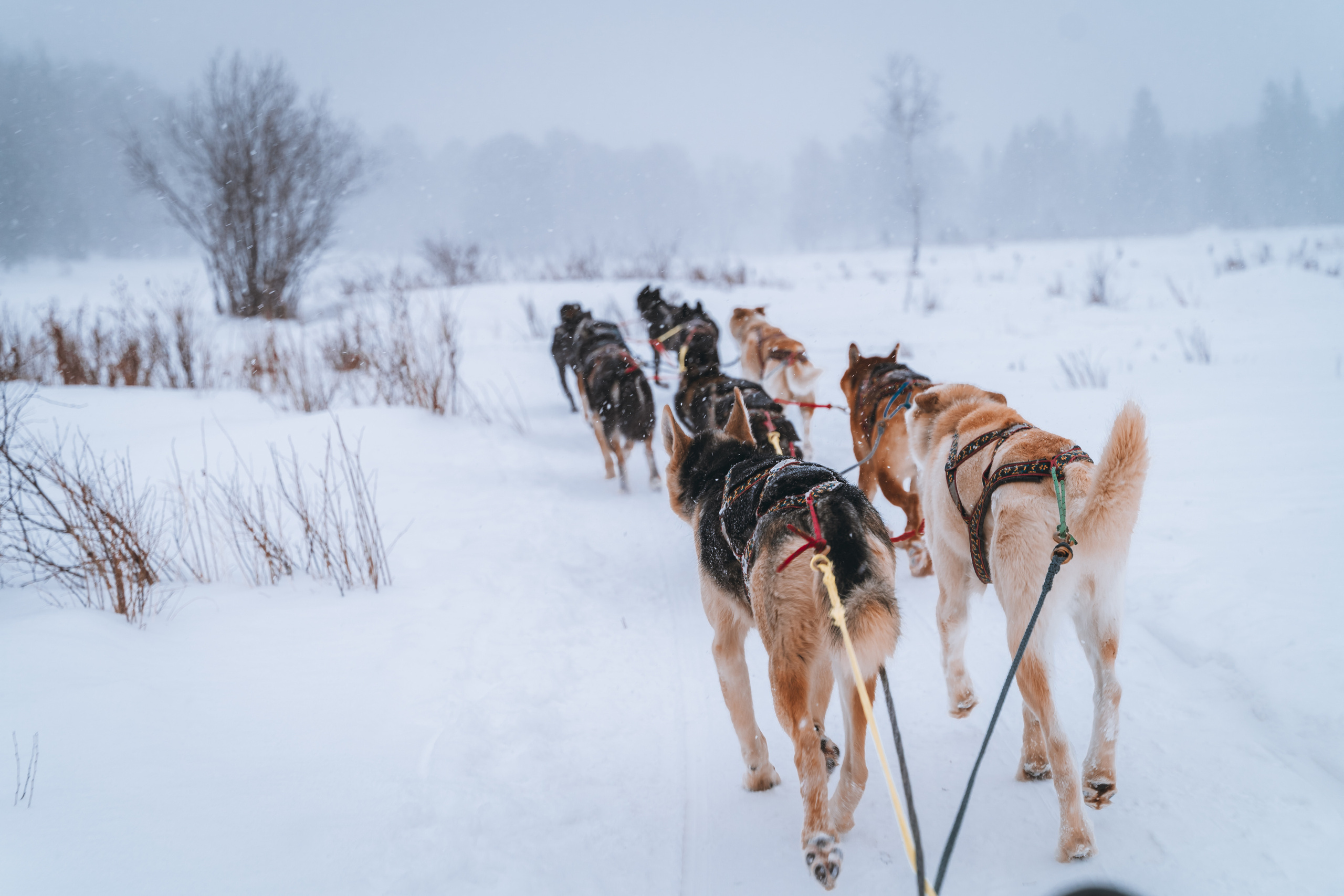 Байкал. Event фотограф Степанова Александра