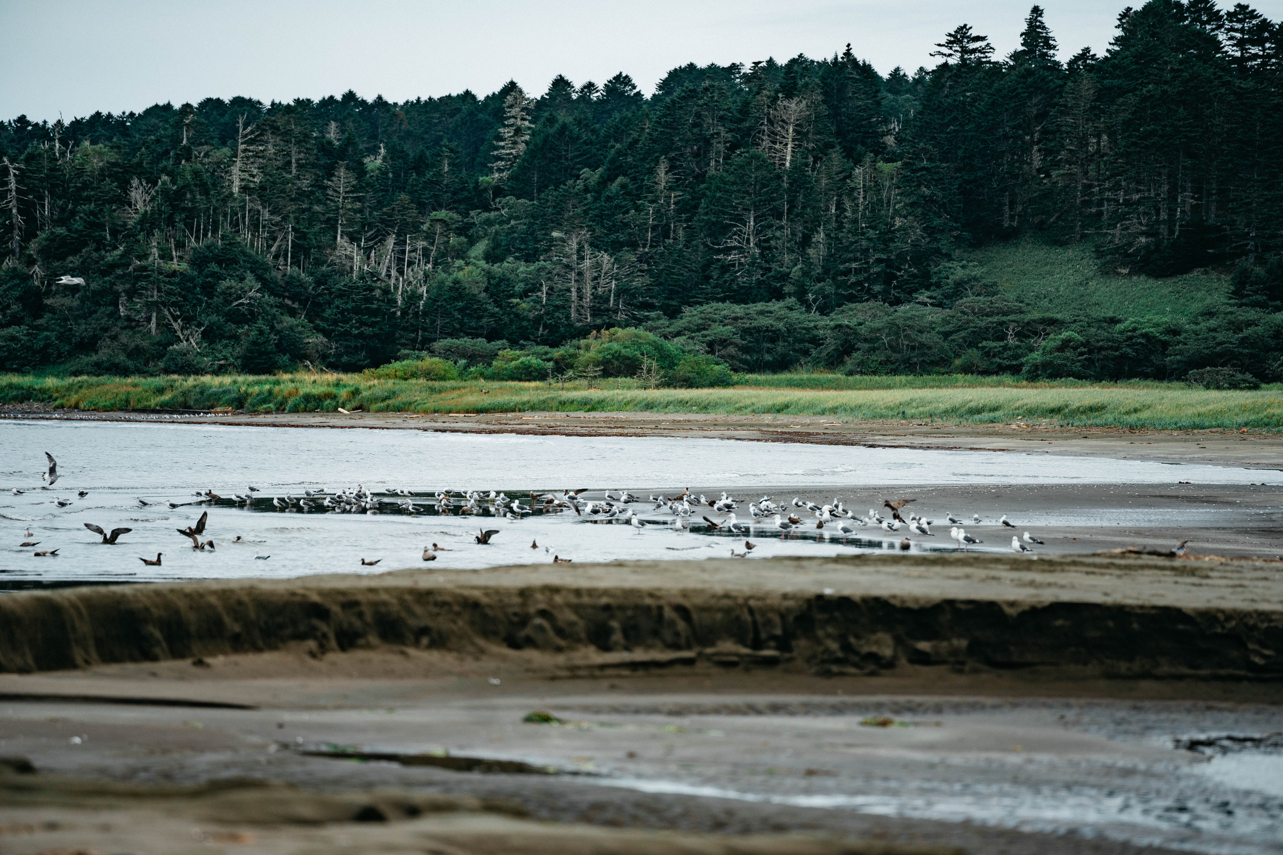 Сахалин. Event фотограф Степанова Александра