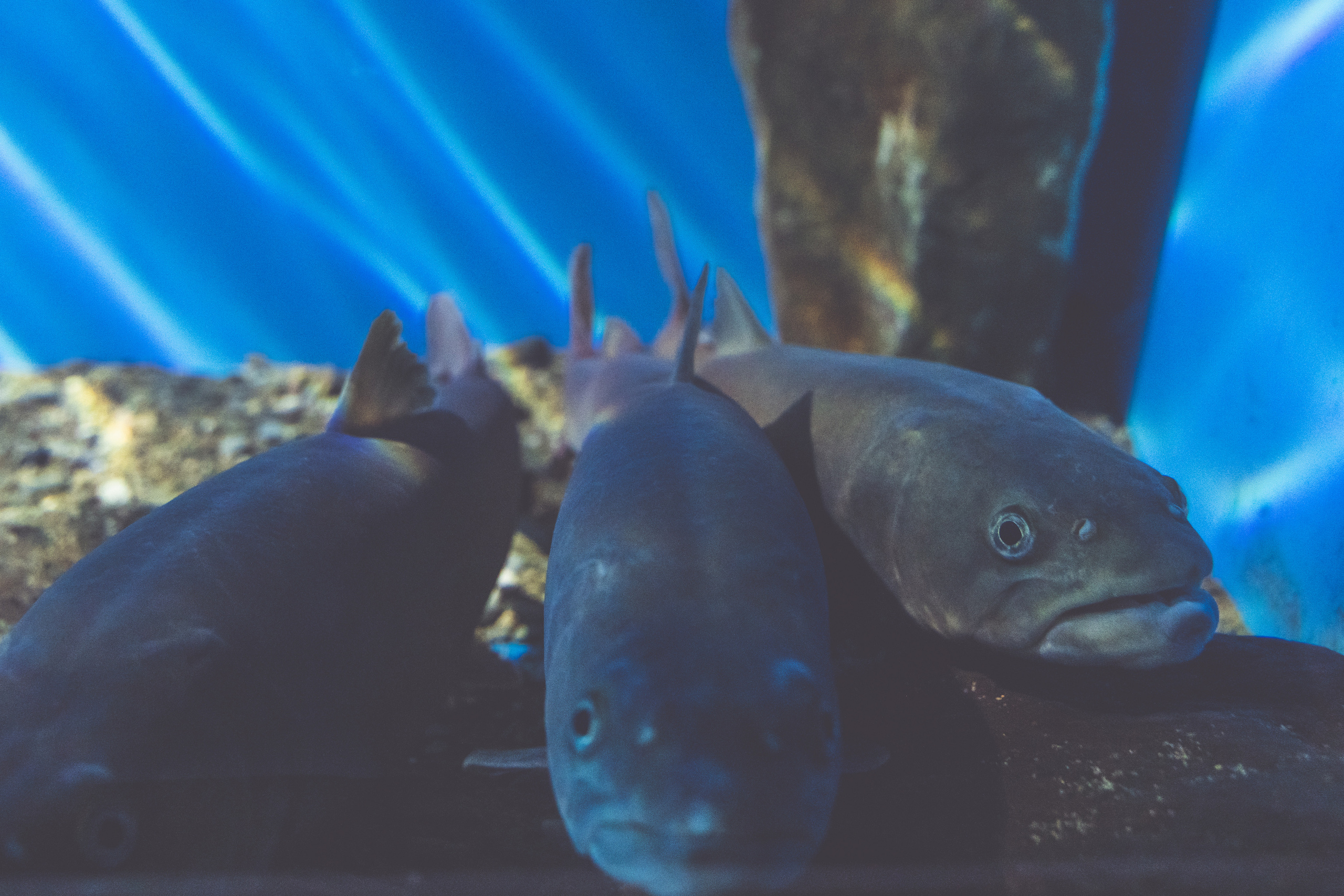 Байкал. Event фотограф Степанова Александра