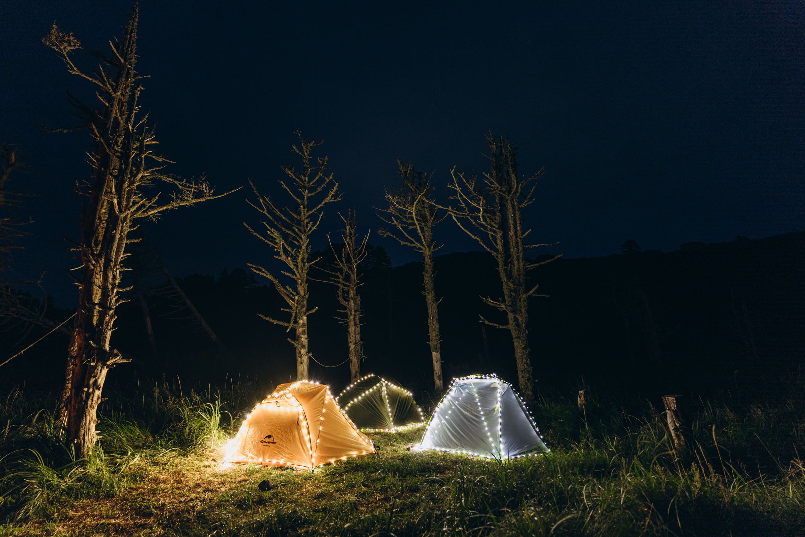 Сахалин. Event фотограф Степанова Александра