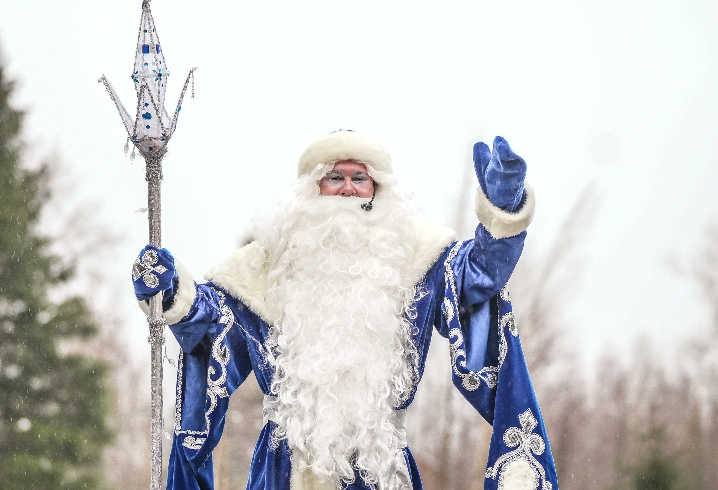 Спил Кремлевской ёлки под Волоколамском. Event фотограф Степанова Александра