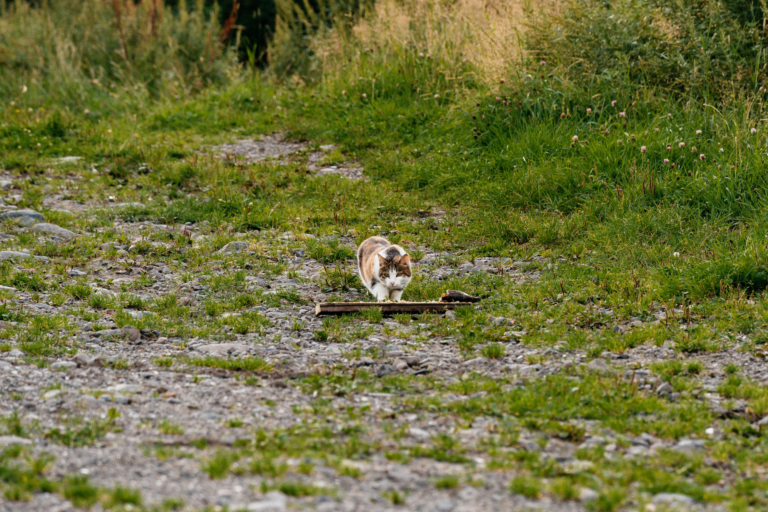 Сахалин. Event фотограф Степанова Александра