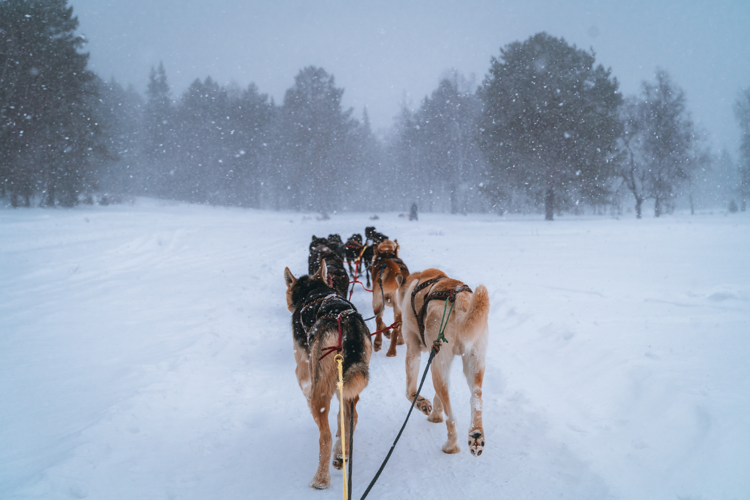 Байкал. Event фотограф Степанова Александра