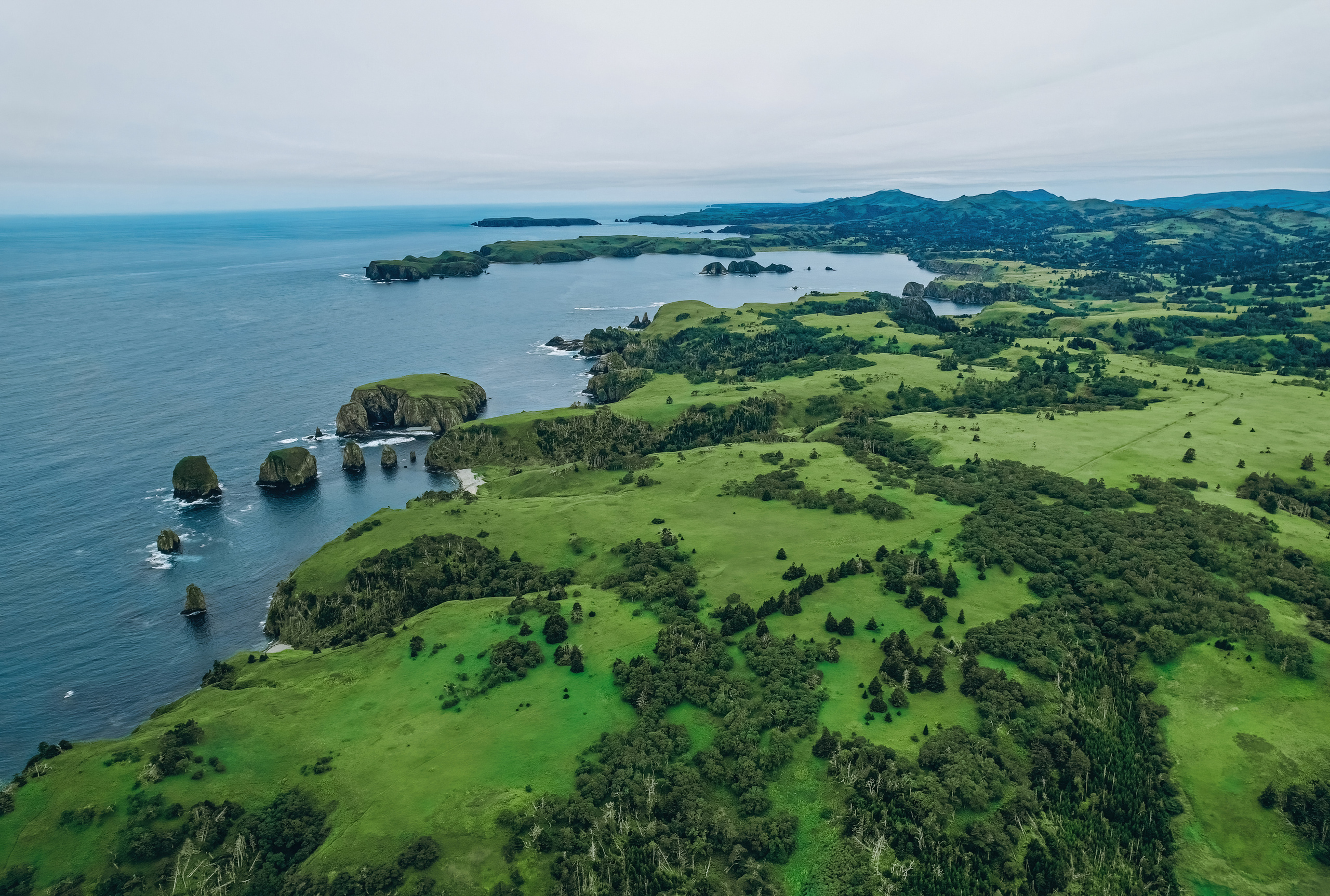 Сахалин. Event фотограф Степанова Александра