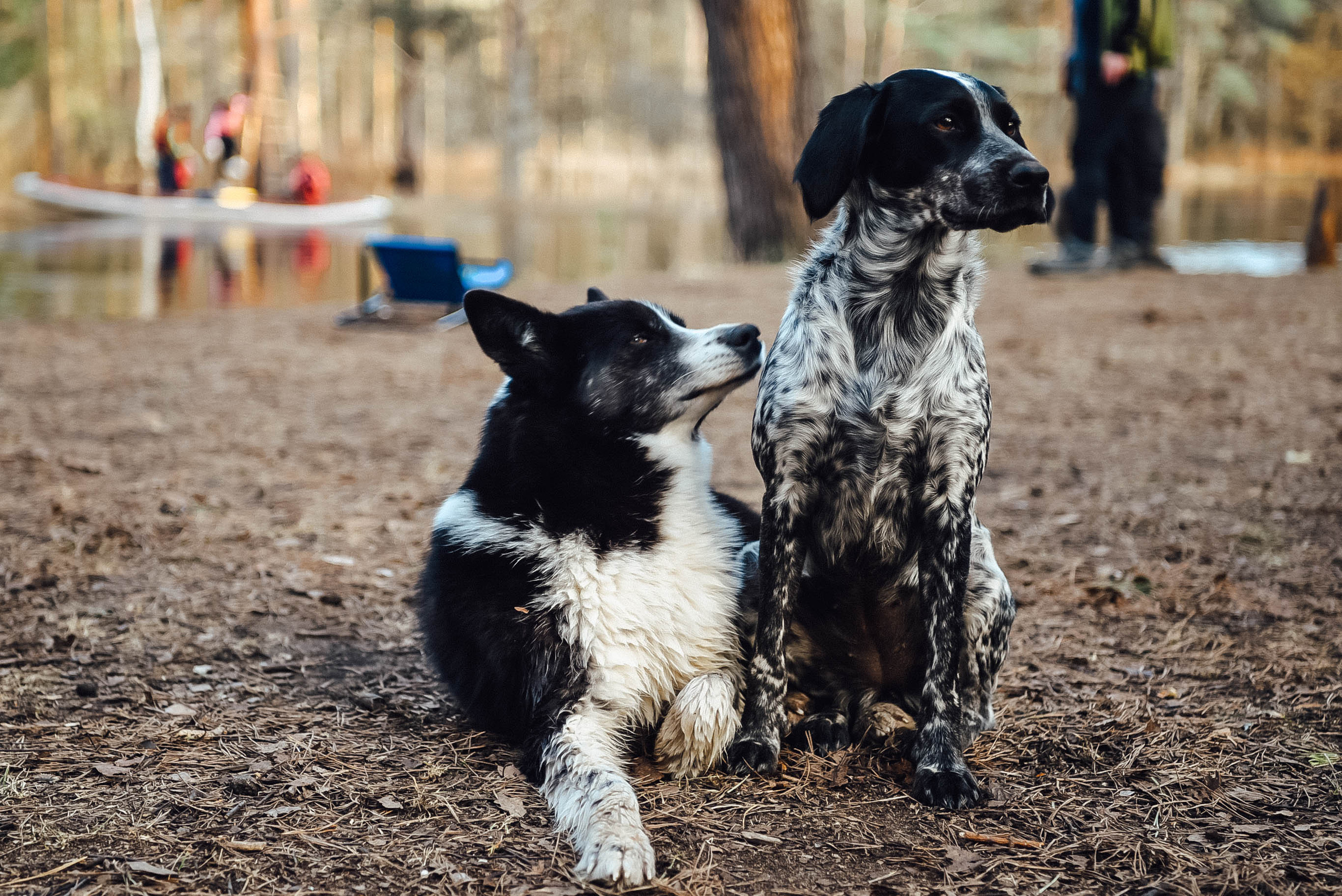 Турслет. Event фотограф Степанова Александра
