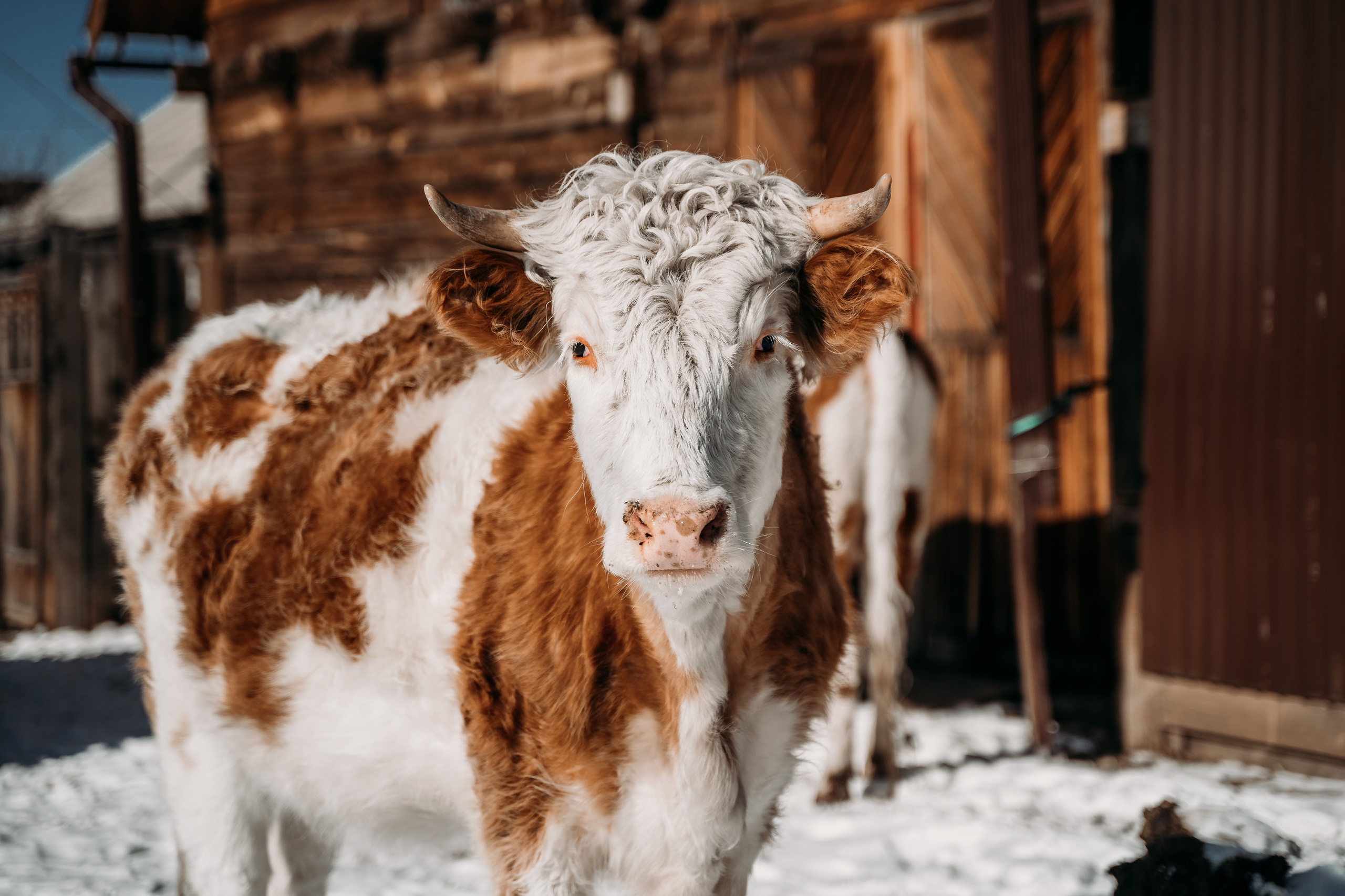 Байкал. Event фотограф Степанова Александра
