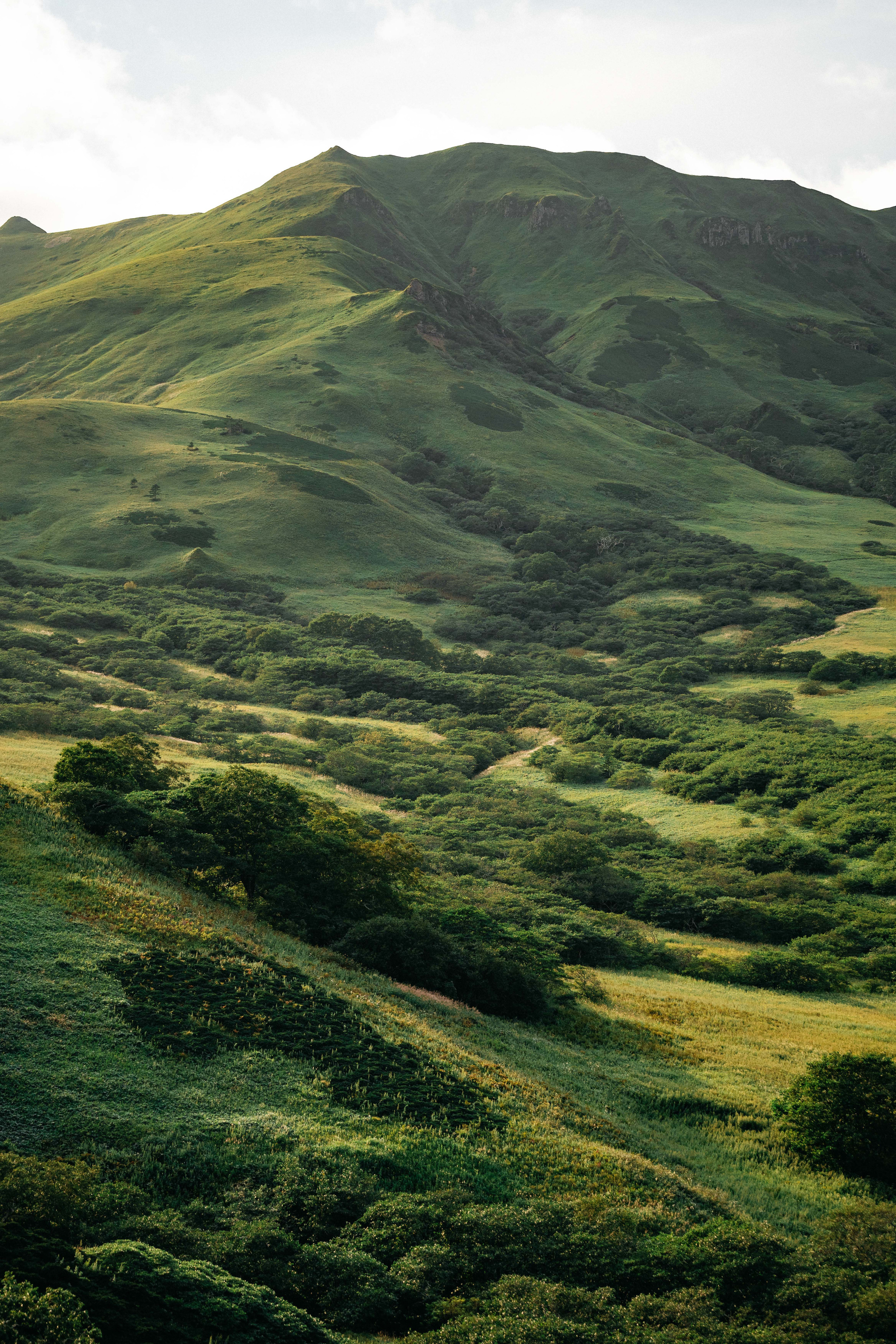 Сахалин. Event фотограф Степанова Александра