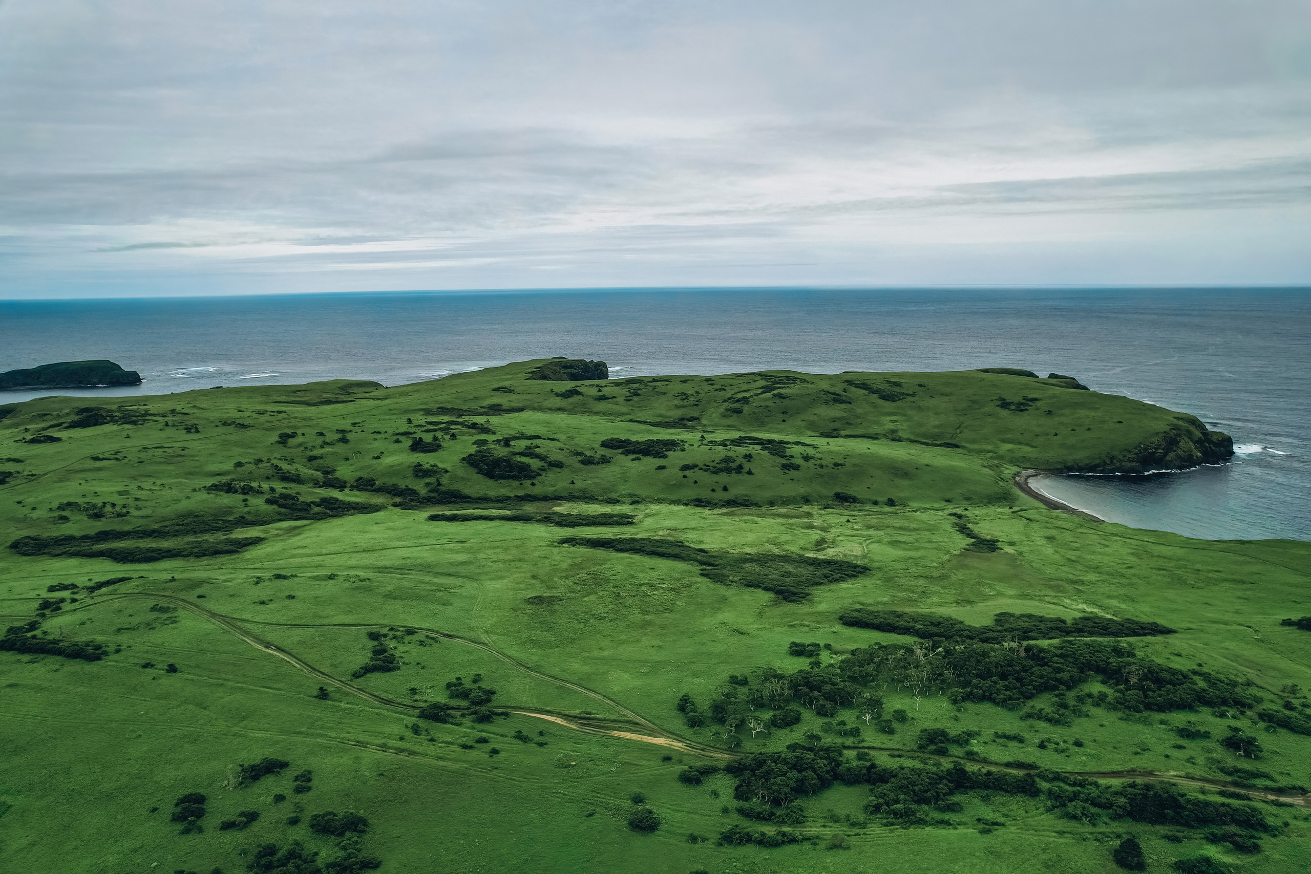 Сахалин. Event фотограф Степанова Александра