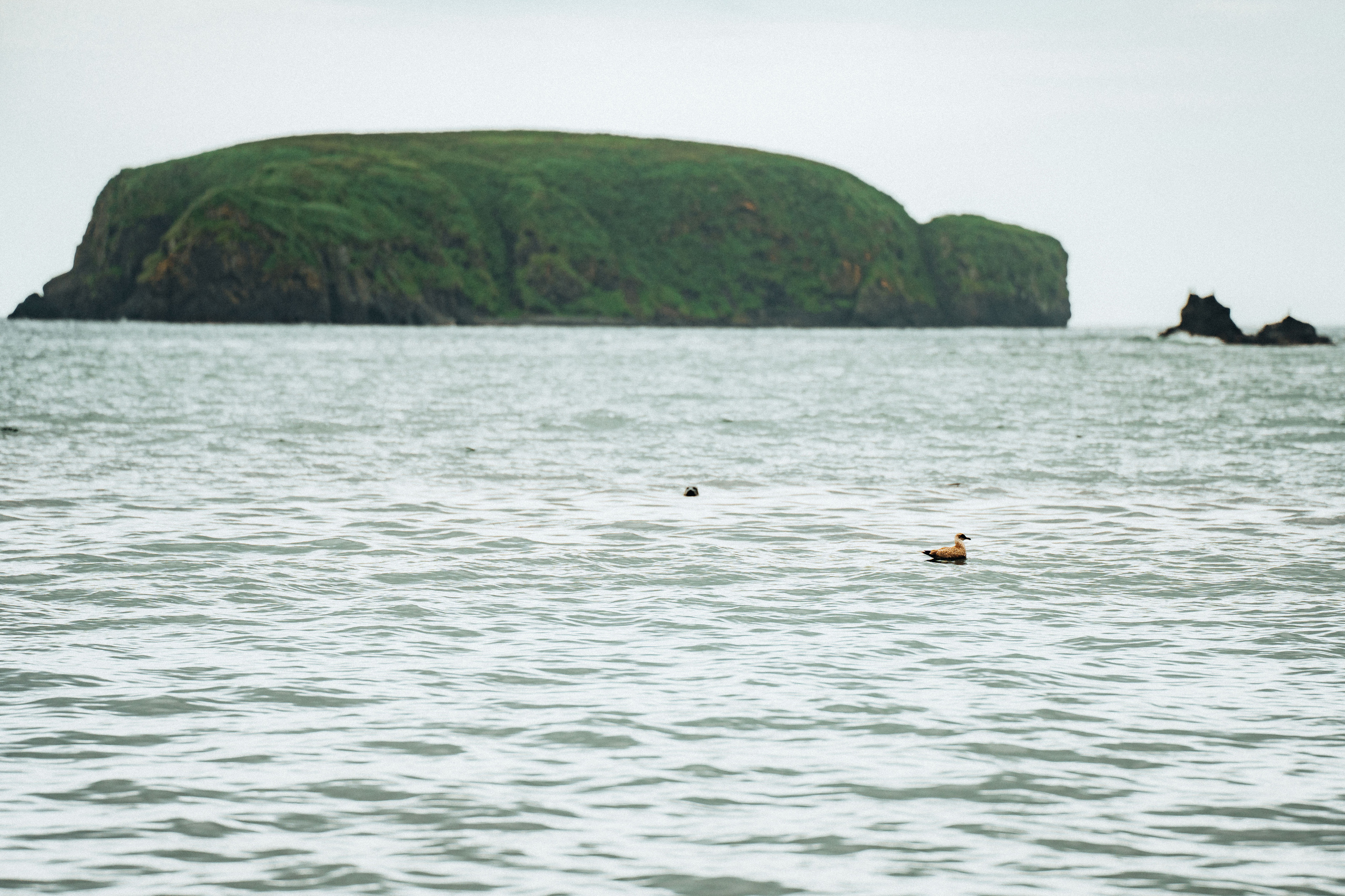 Сахалин. Event фотограф Степанова Александра
