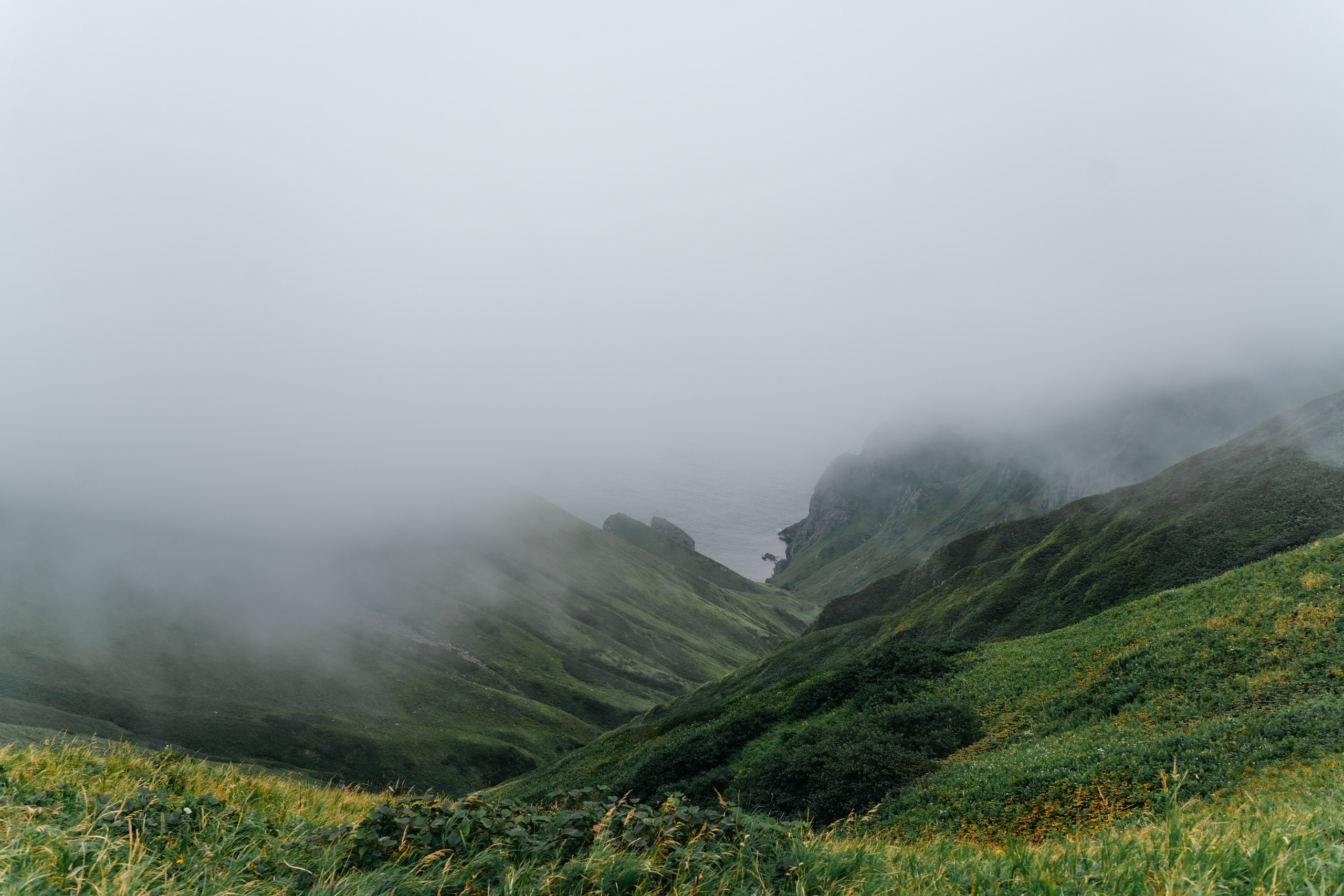 Сахалин. Event фотограф Степанова Александра