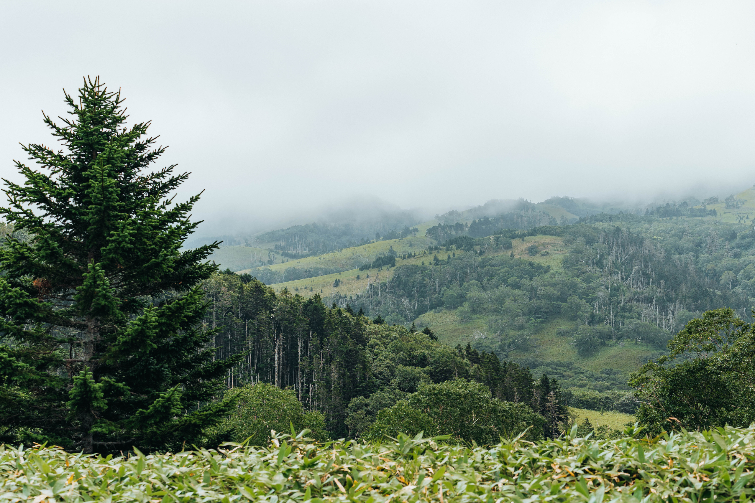 Сахалин. Event фотограф Степанова Александра