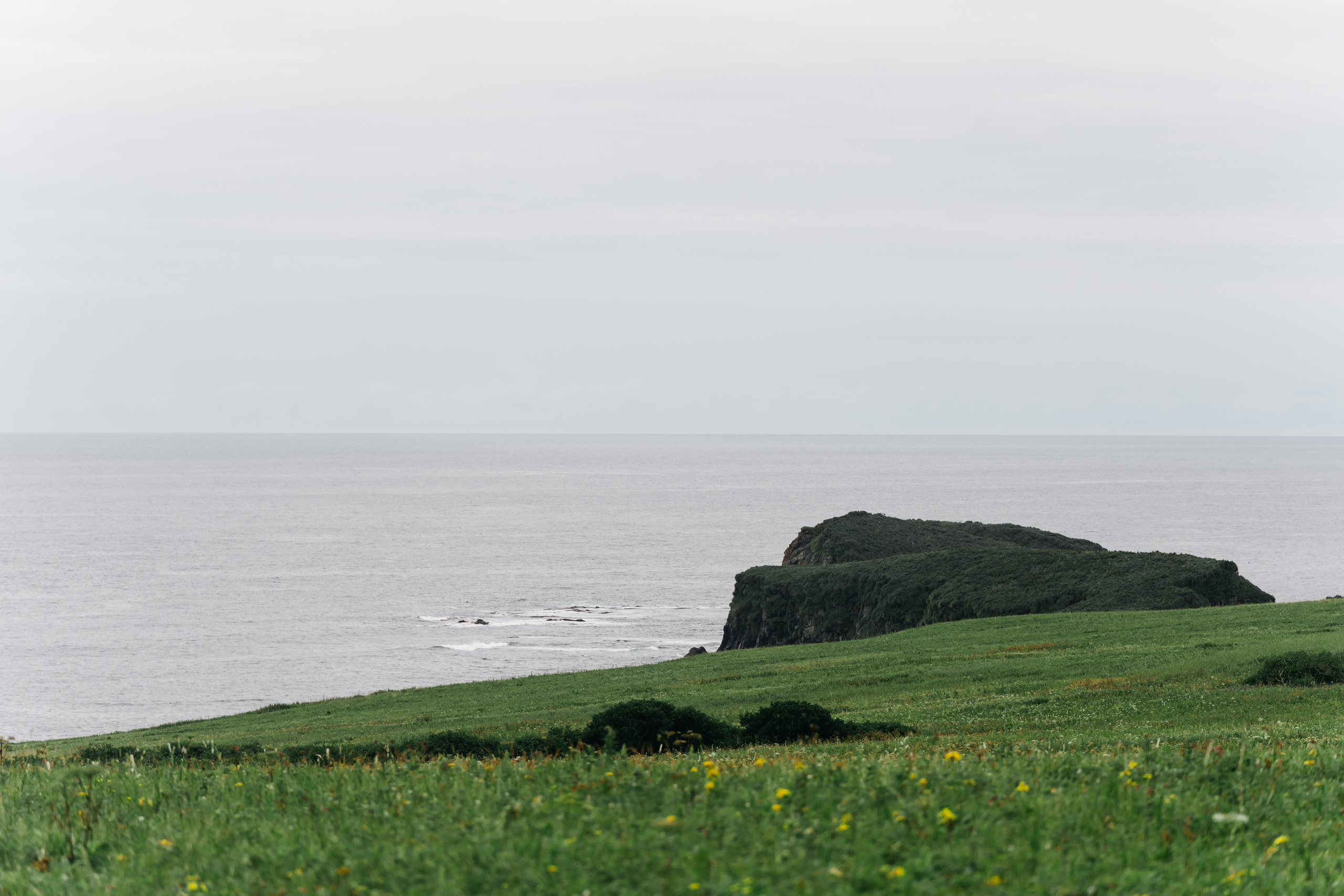 Сахалин. Event фотограф Степанова Александра