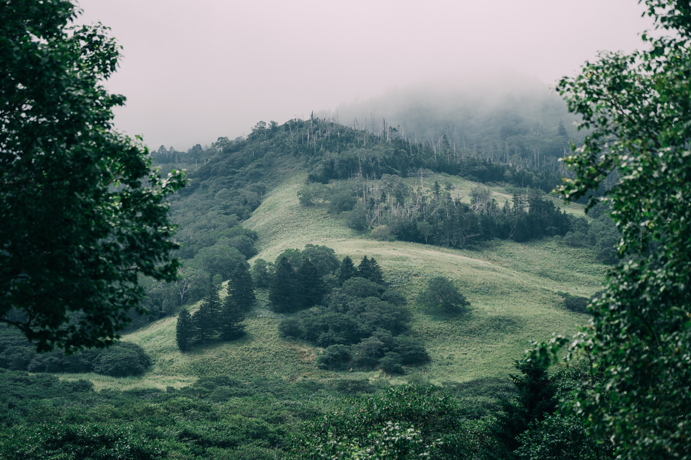 Остров Шикотан. Event фотограф Степанова Александра