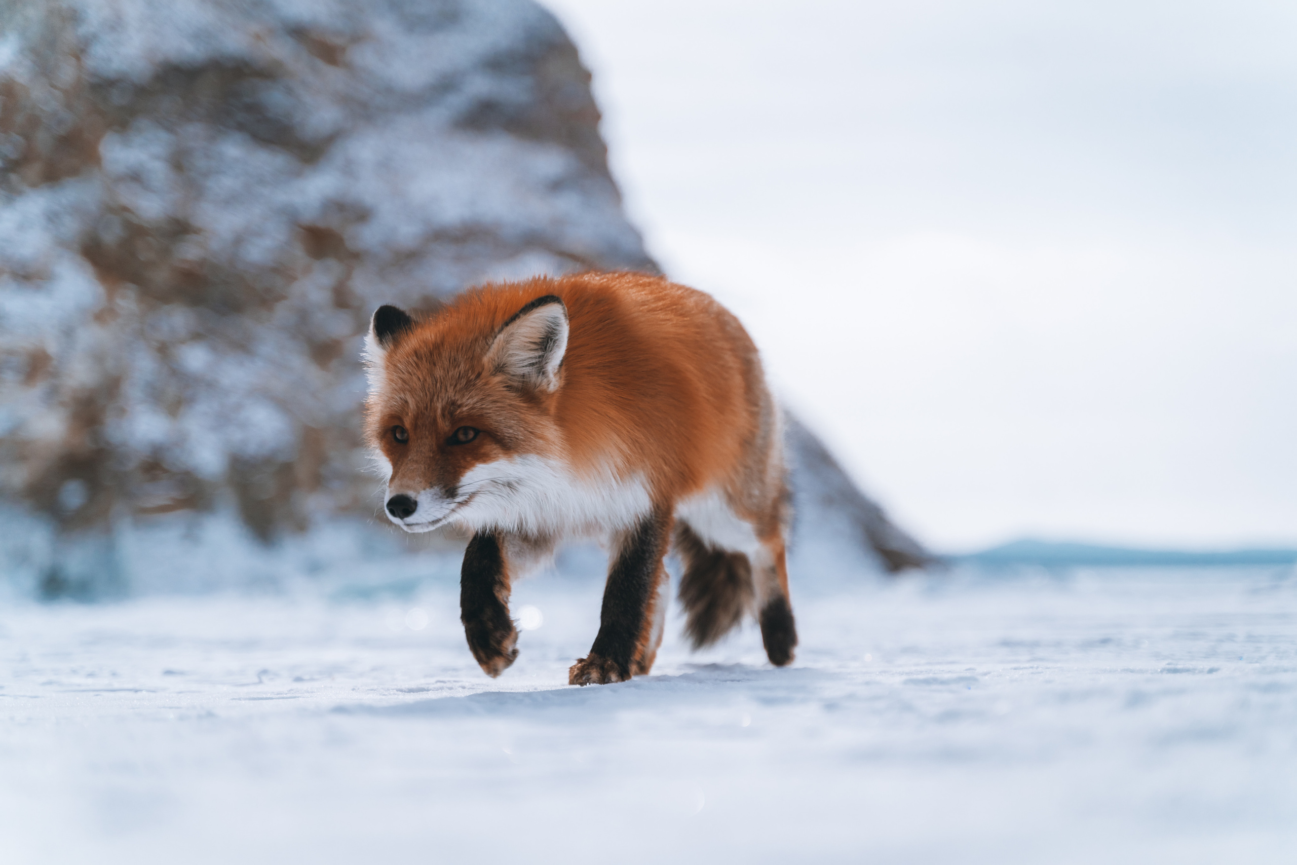 Байкал. Event фотограф Степанова Александра