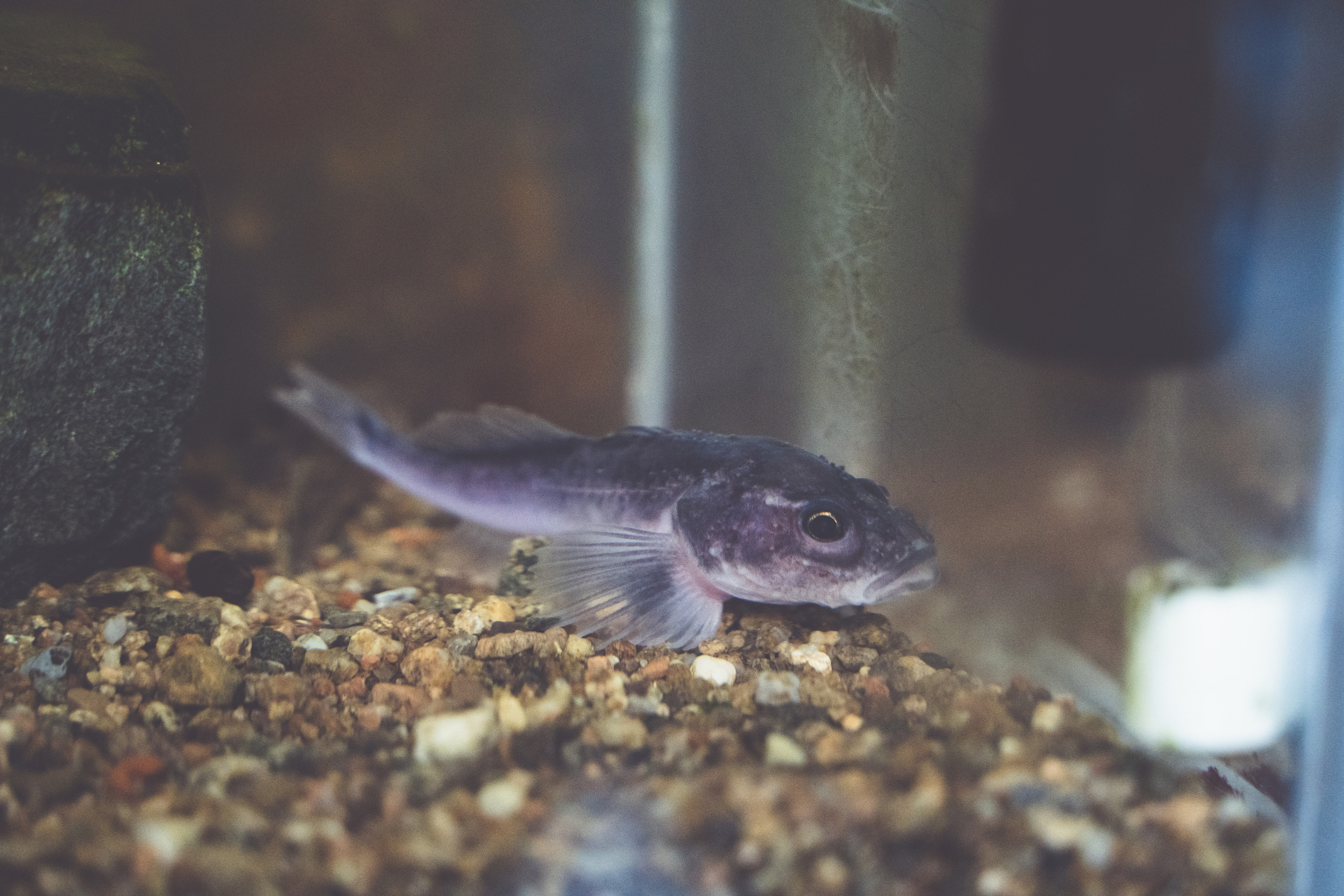 Байкал. Event фотограф Степанова Александра