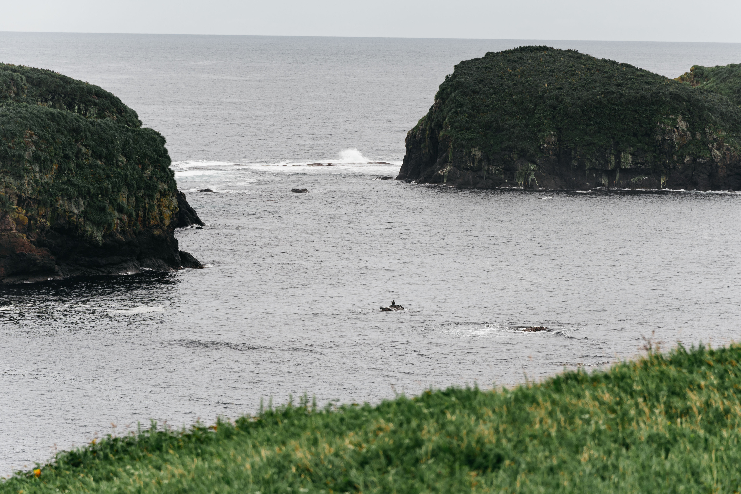 Сахалин. Event фотограф Степанова Александра