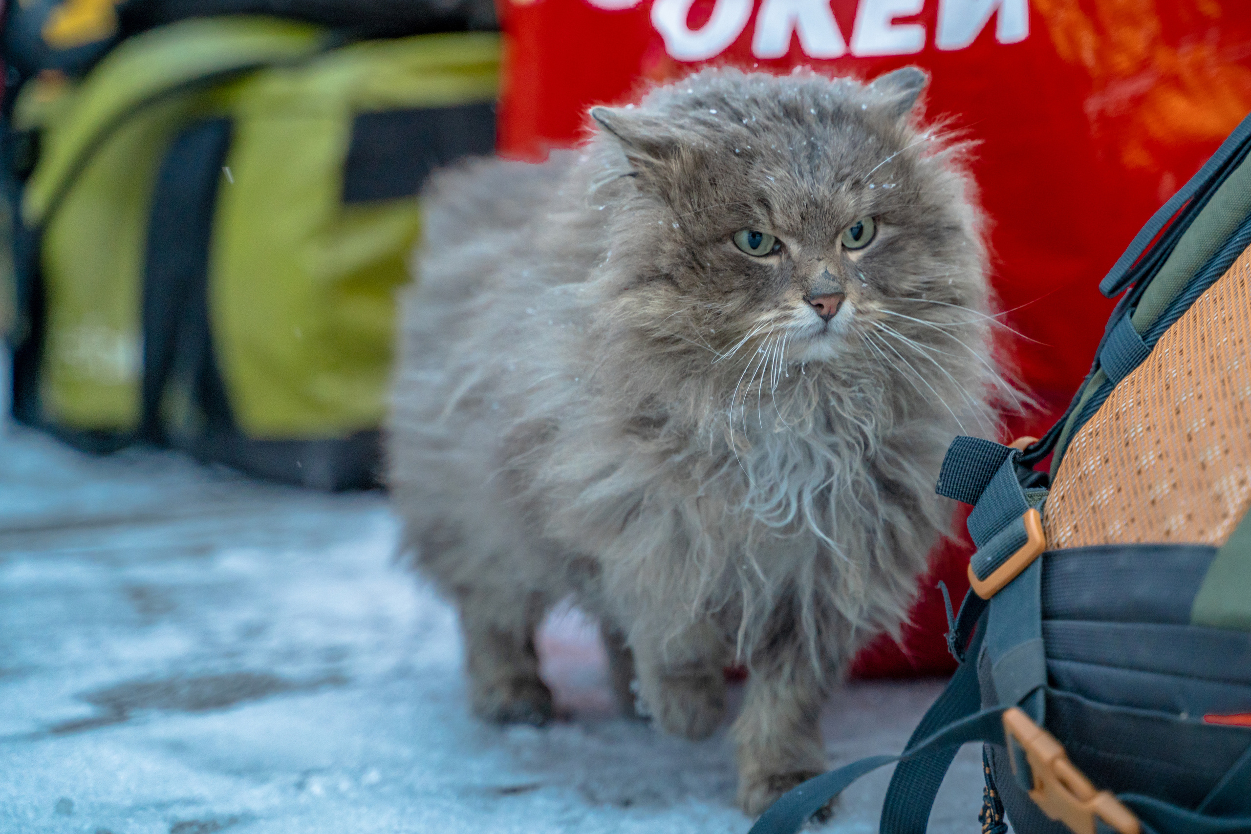 Байкал. Event фотограф Степанова Александра