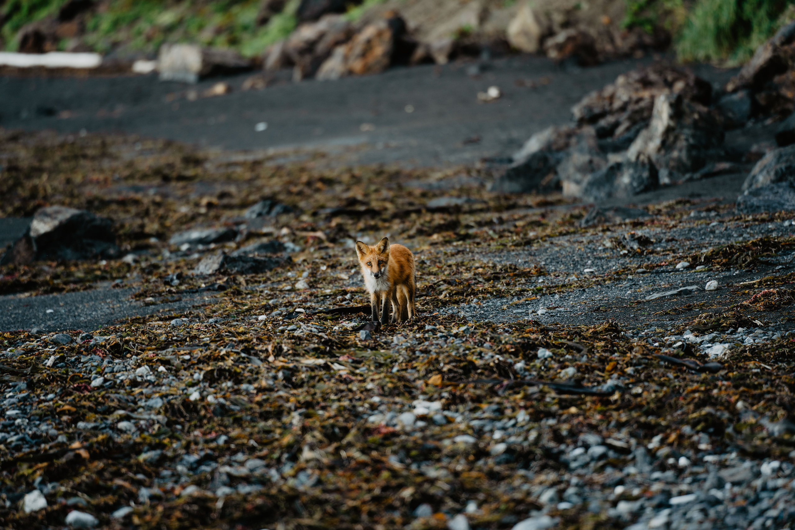 Сахалин. Event фотограф Степанова Александра