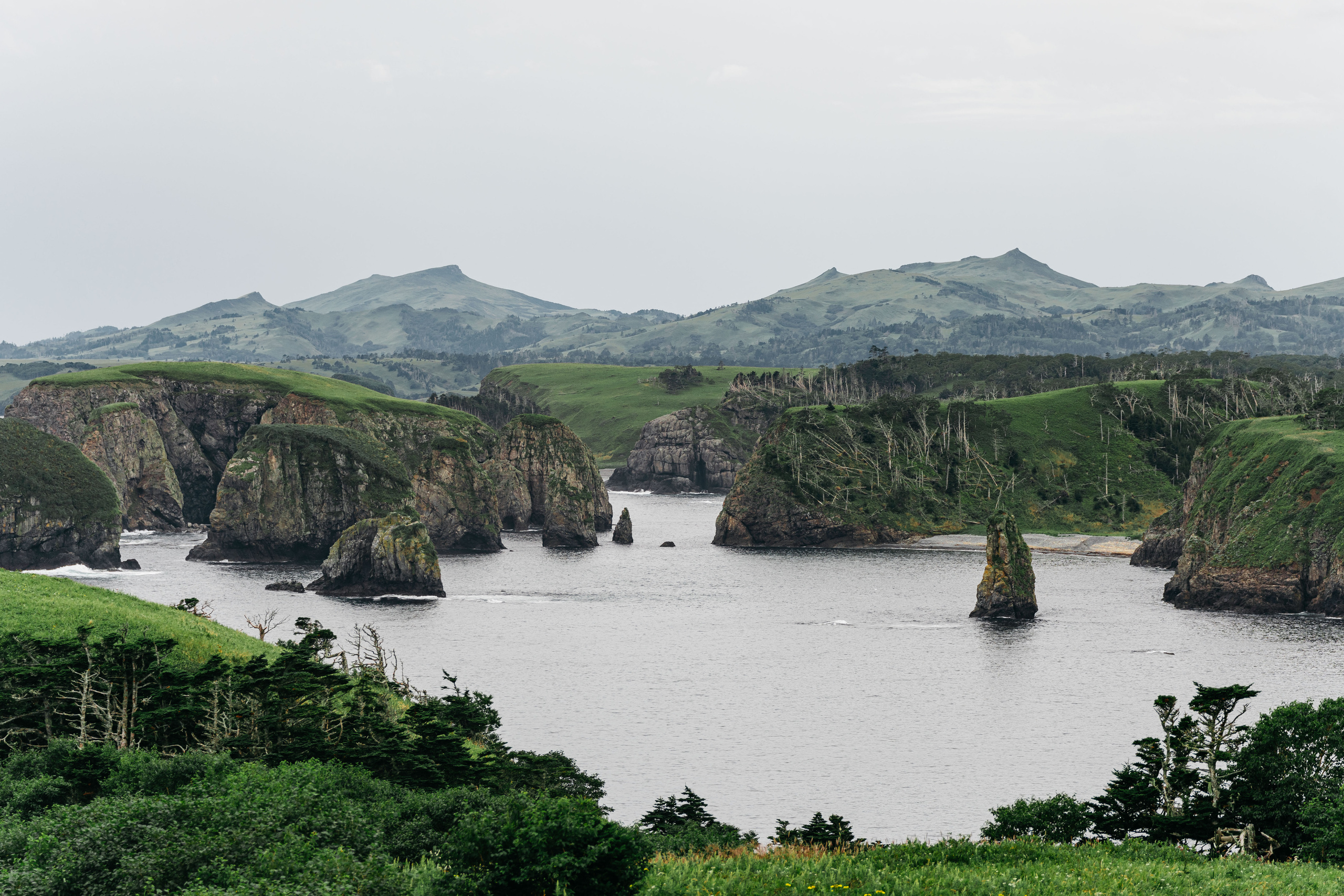 Сахалин. Event фотограф Степанова Александра