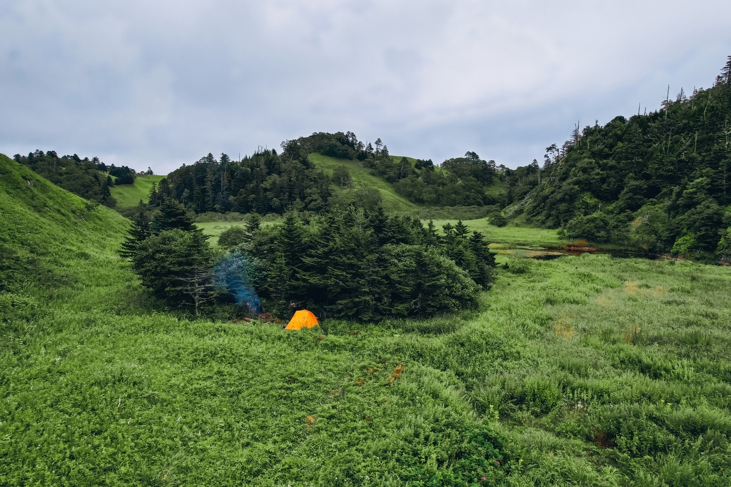 Сахалин. Event фотограф Степанова Александра