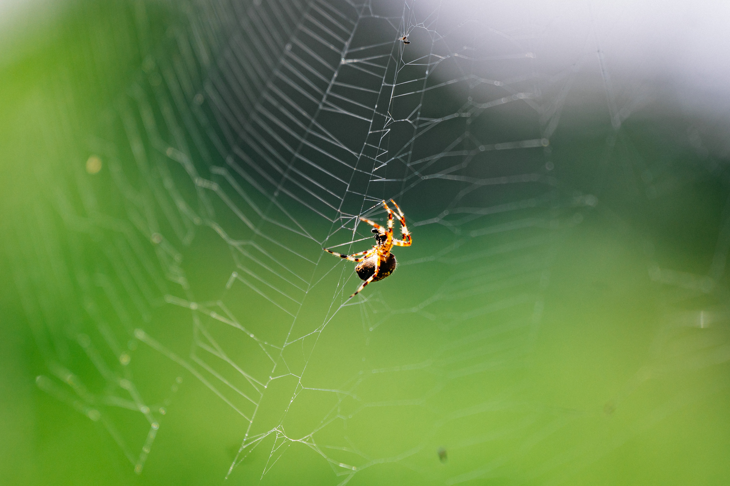 Сахалин. Event фотограф Степанова Александра