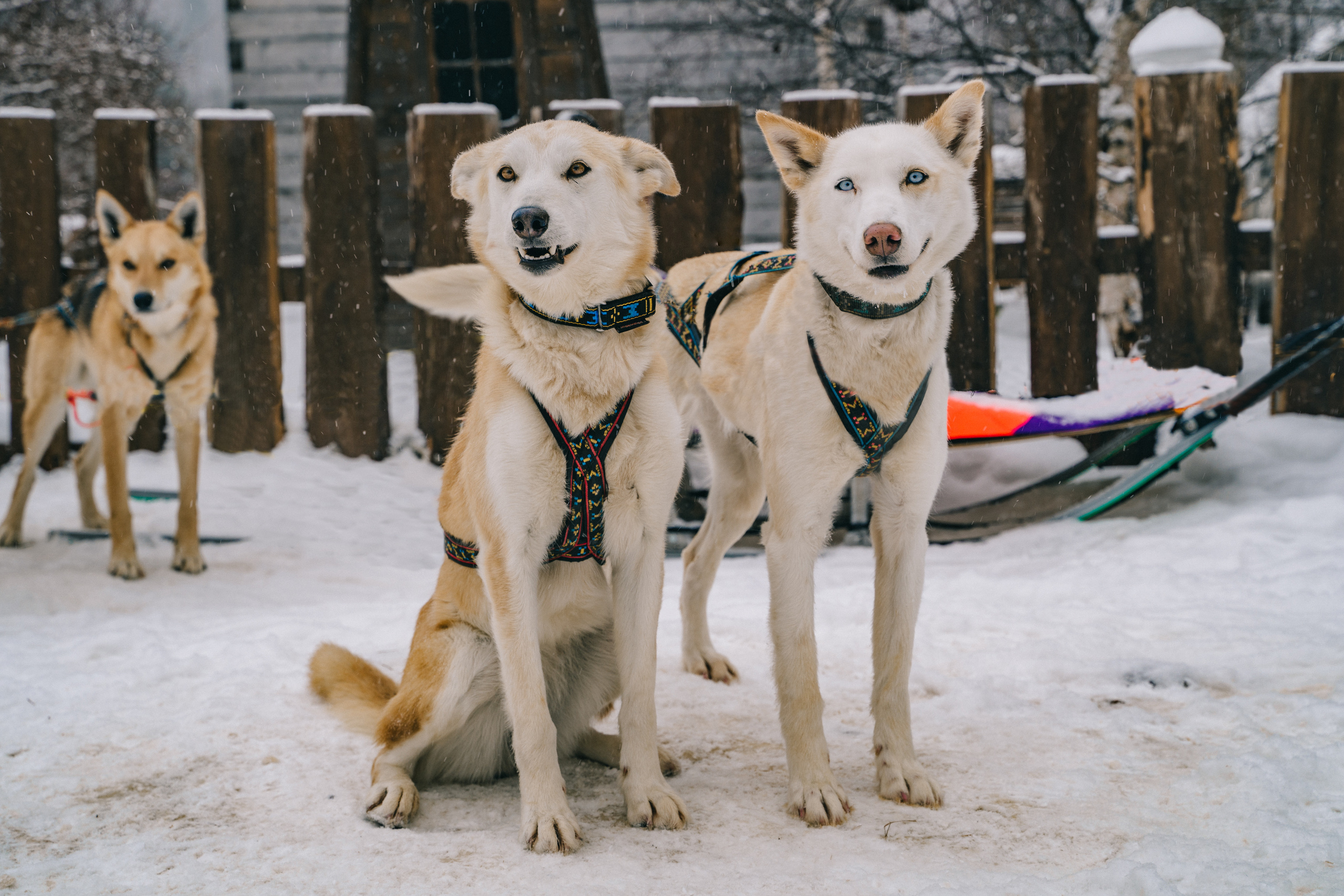 Байкал. Event фотограф Степанова Александра