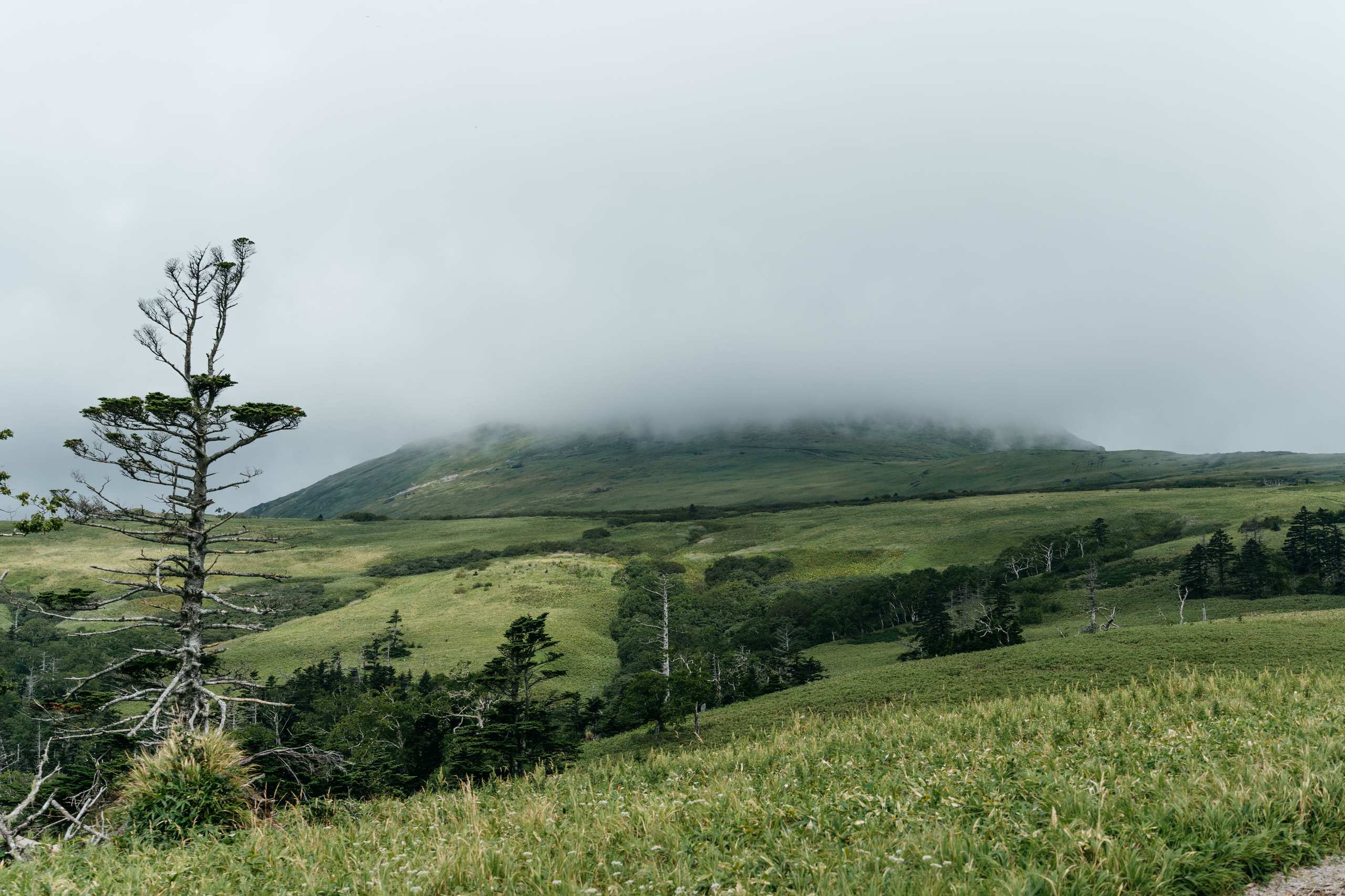 Сахалин. Event фотограф Степанова Александра