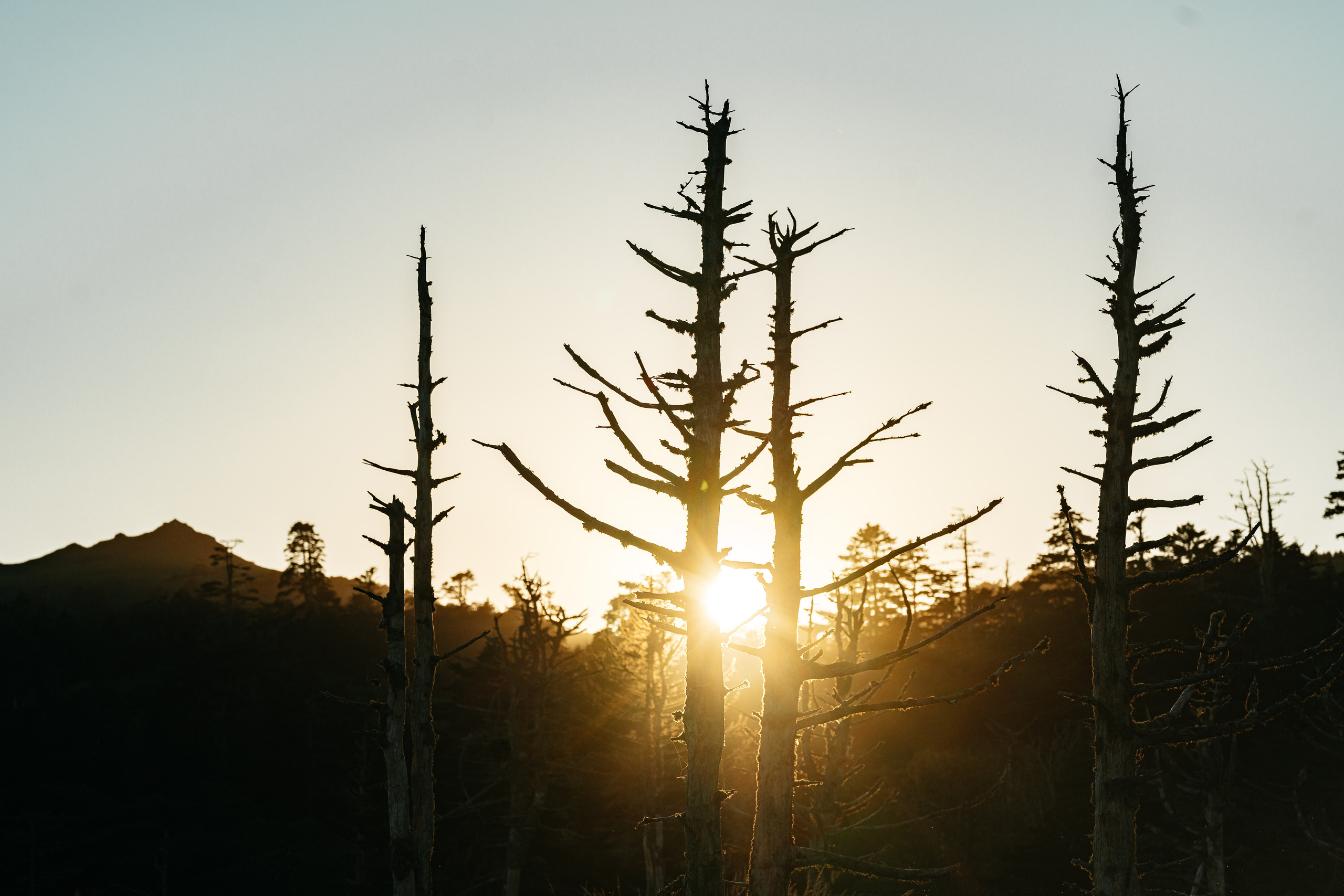 Сахалин. Event фотограф Степанова Александра