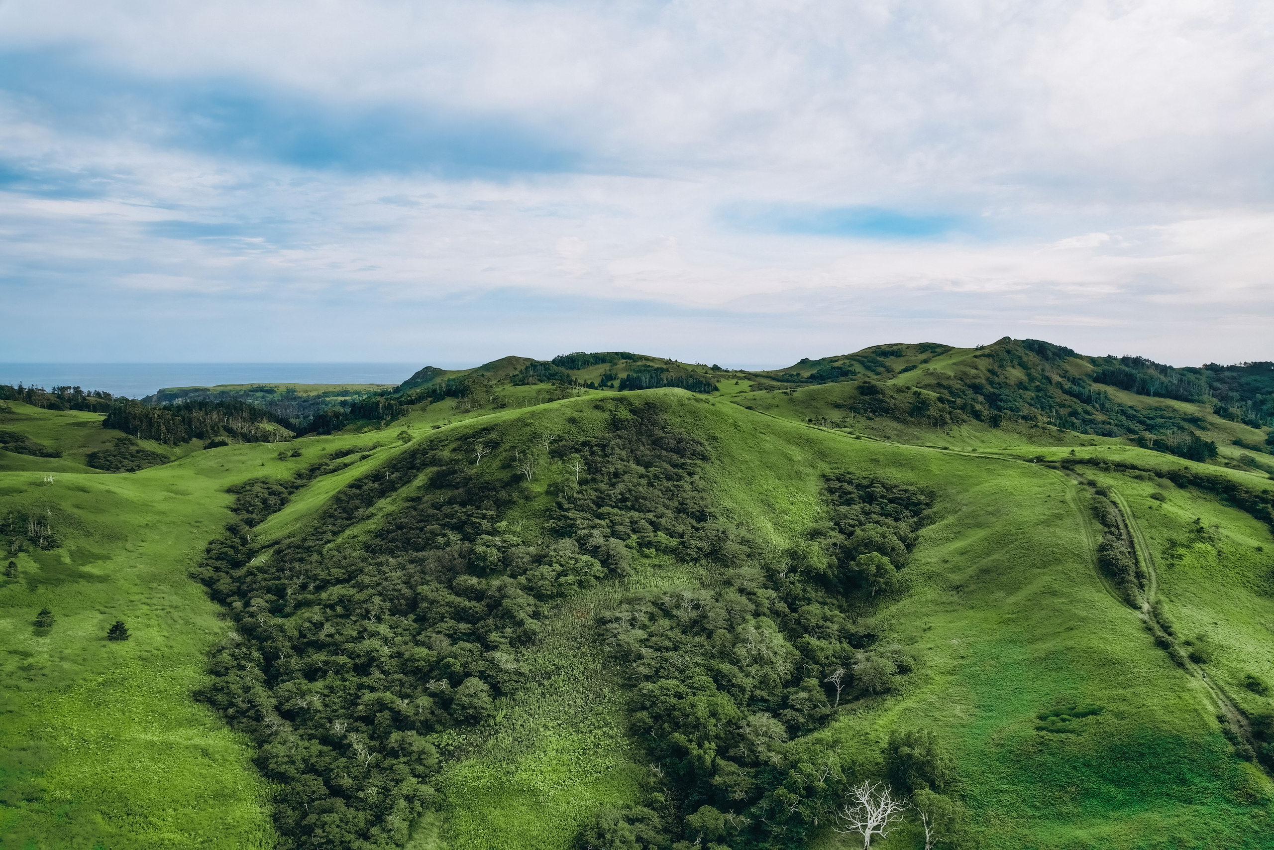 Сахалин. Event фотограф Степанова Александра