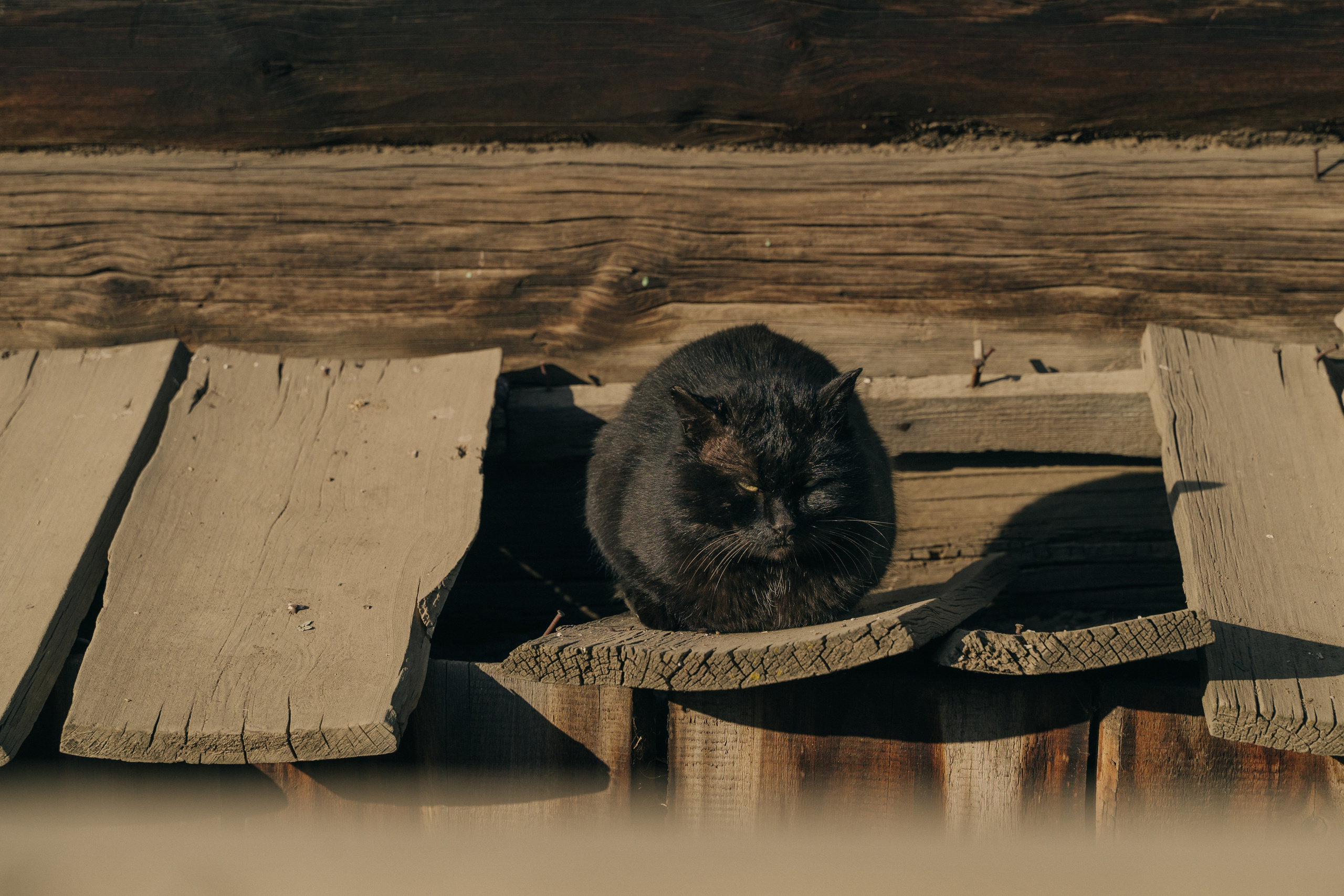 Байкал. Event фотограф Степанова Александра