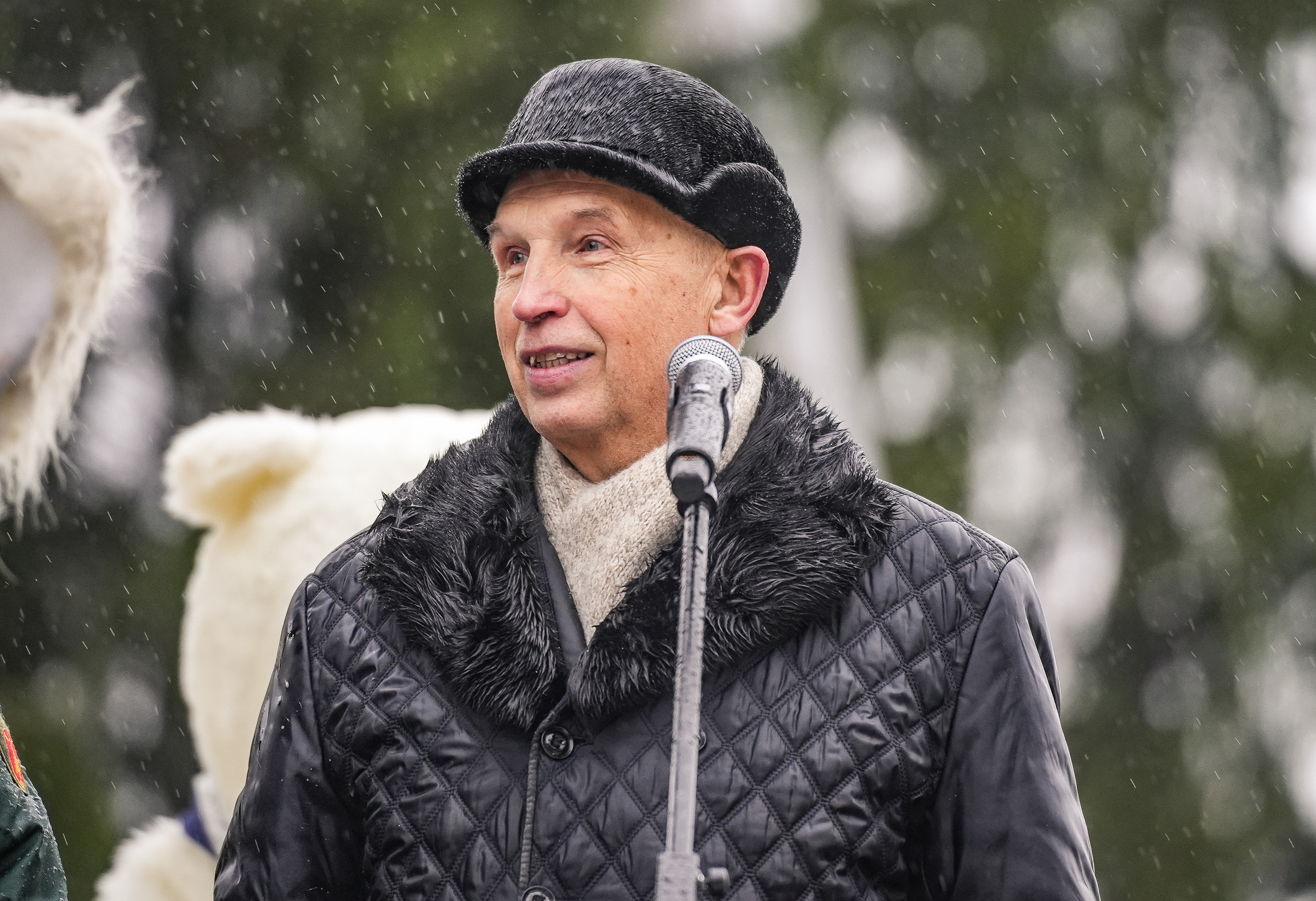 Спил Кремлевской ёлки под Волоколамском. Event фотограф Степанова Александра