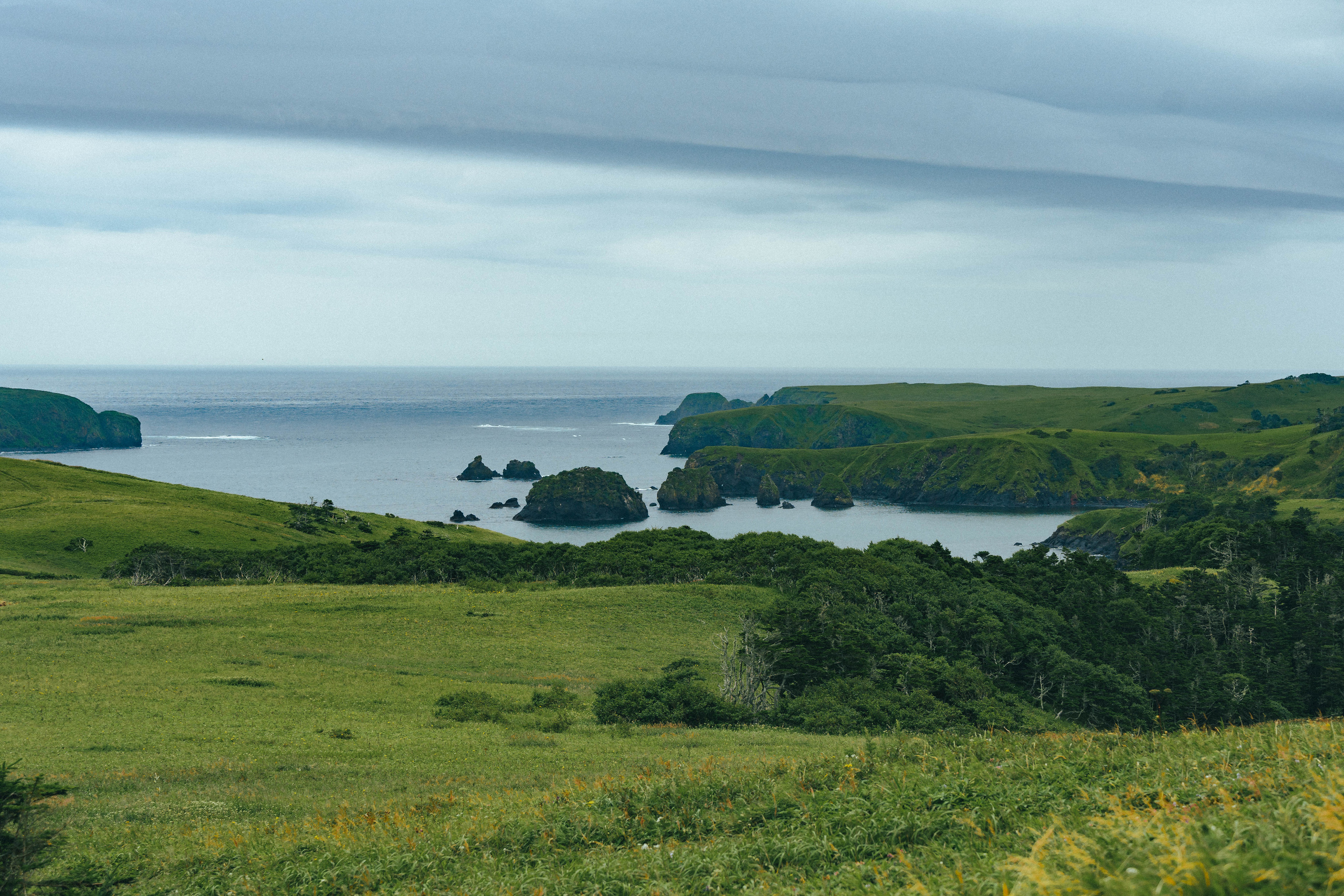 Сахалин. Event фотограф Степанова Александра