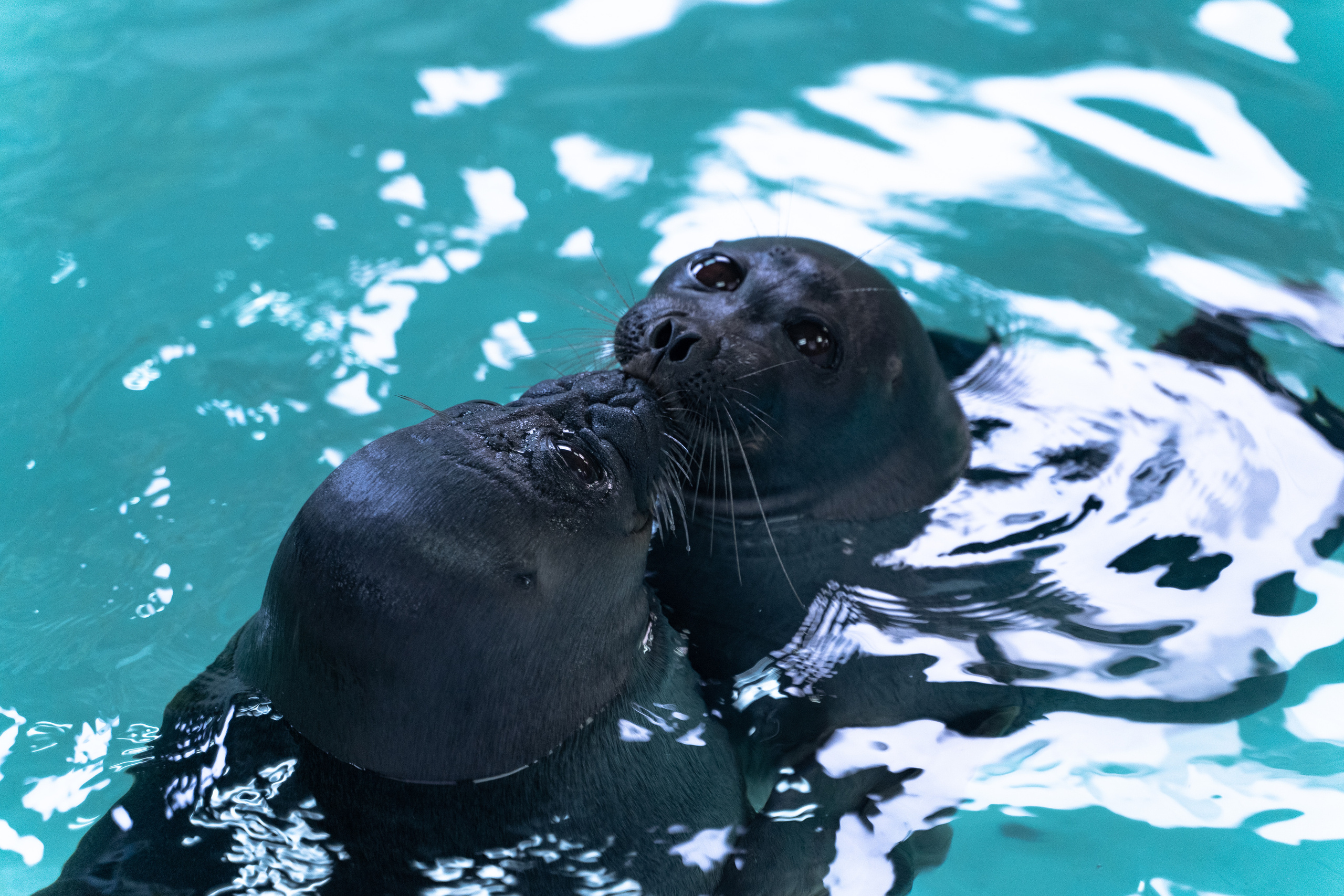 Байкал. Event фотограф Степанова Александра