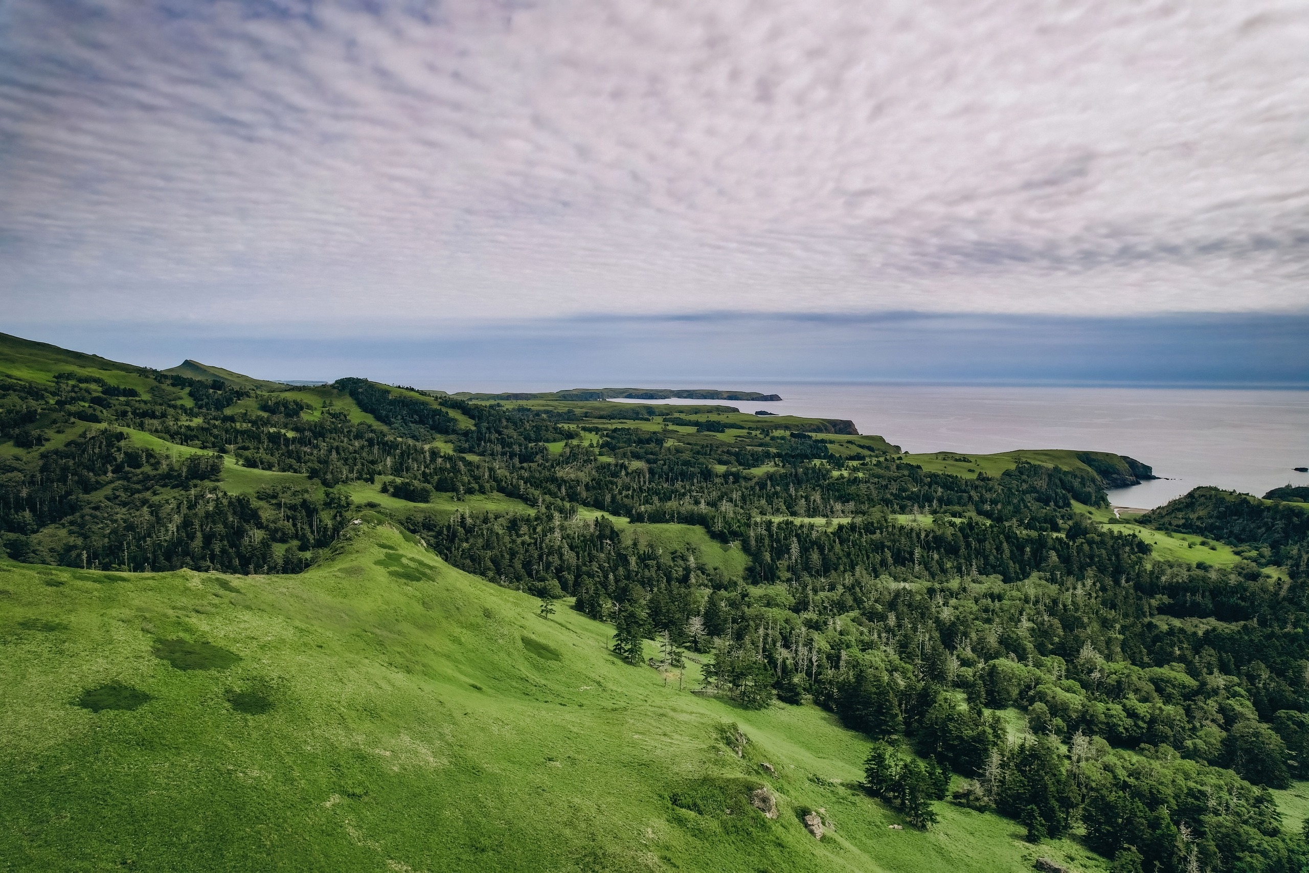 Сахалин. Event фотограф Степанова Александра