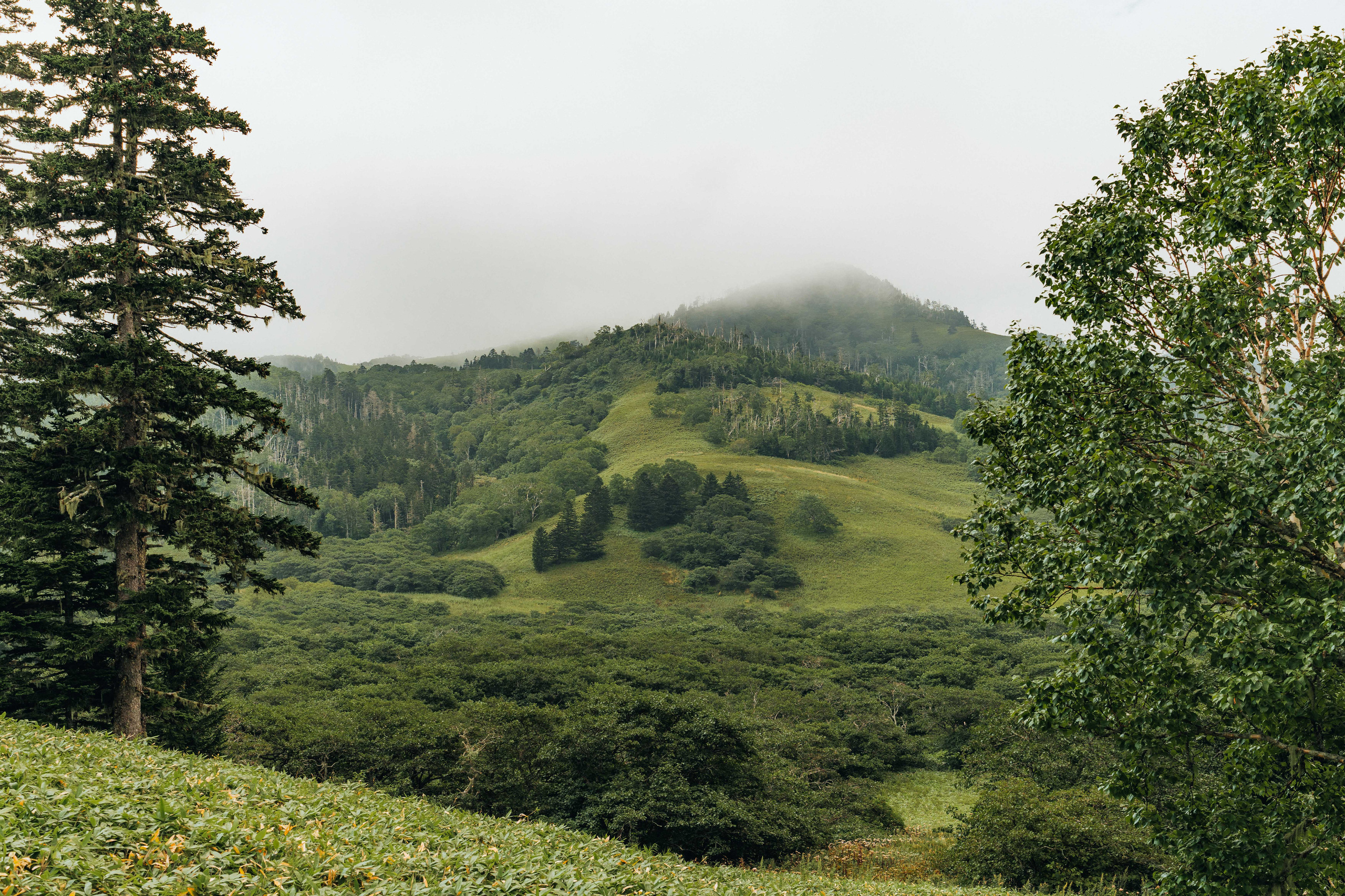 Сахалин. Event фотограф Степанова Александра