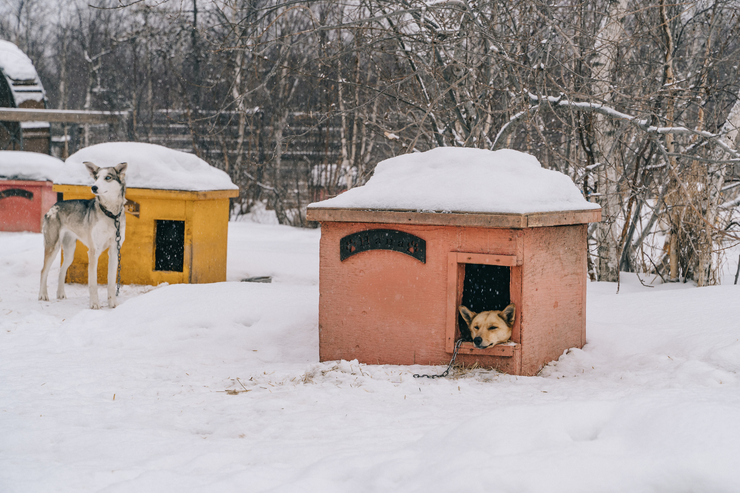 Байкал. Event фотограф Степанова Александра