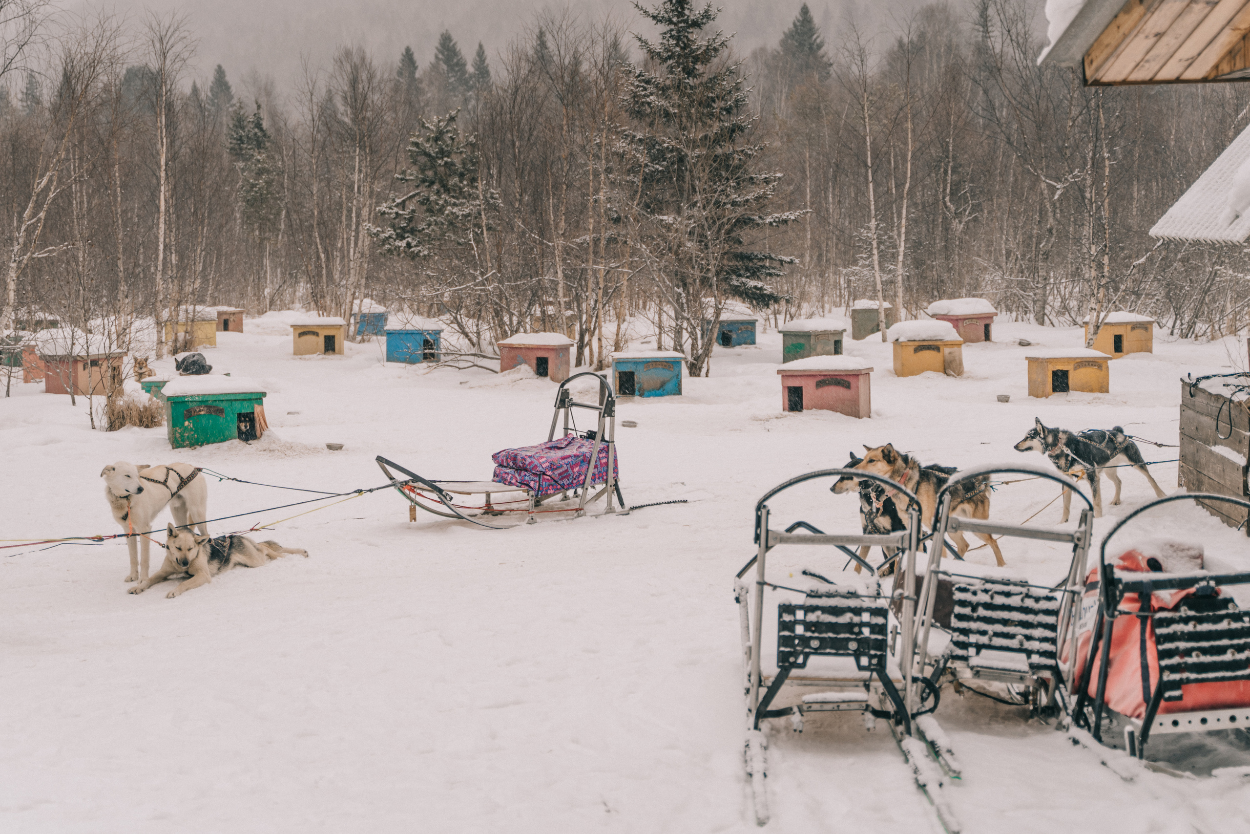 Байкал. Event фотограф Степанова Александра