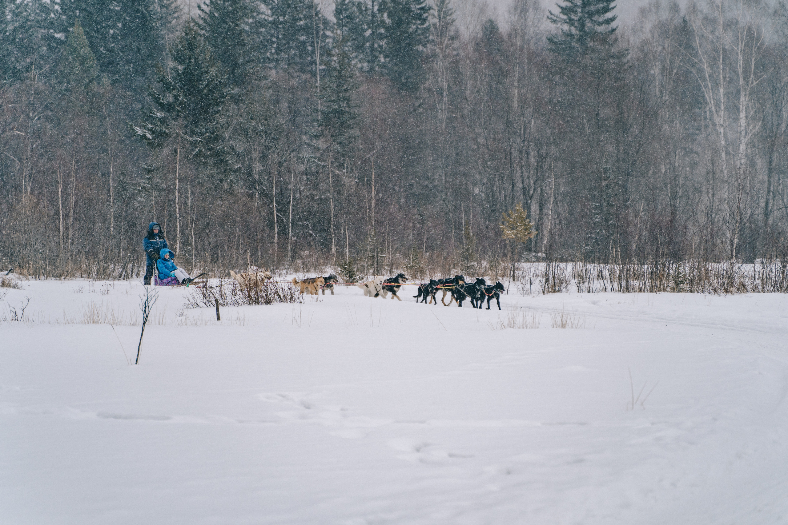 Байкал. Event фотограф Степанова Александра