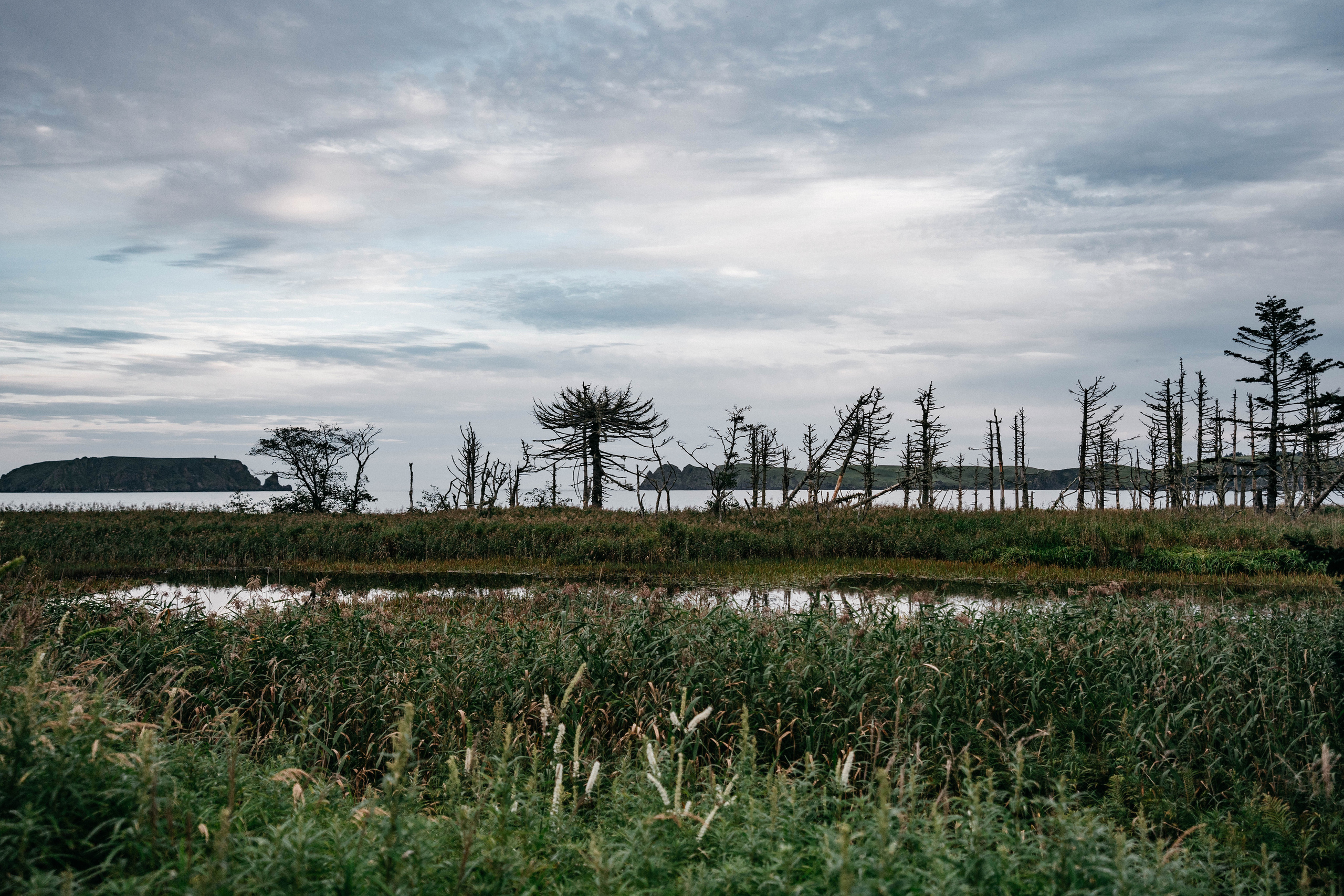 Сахалин. Event фотограф Степанова Александра
