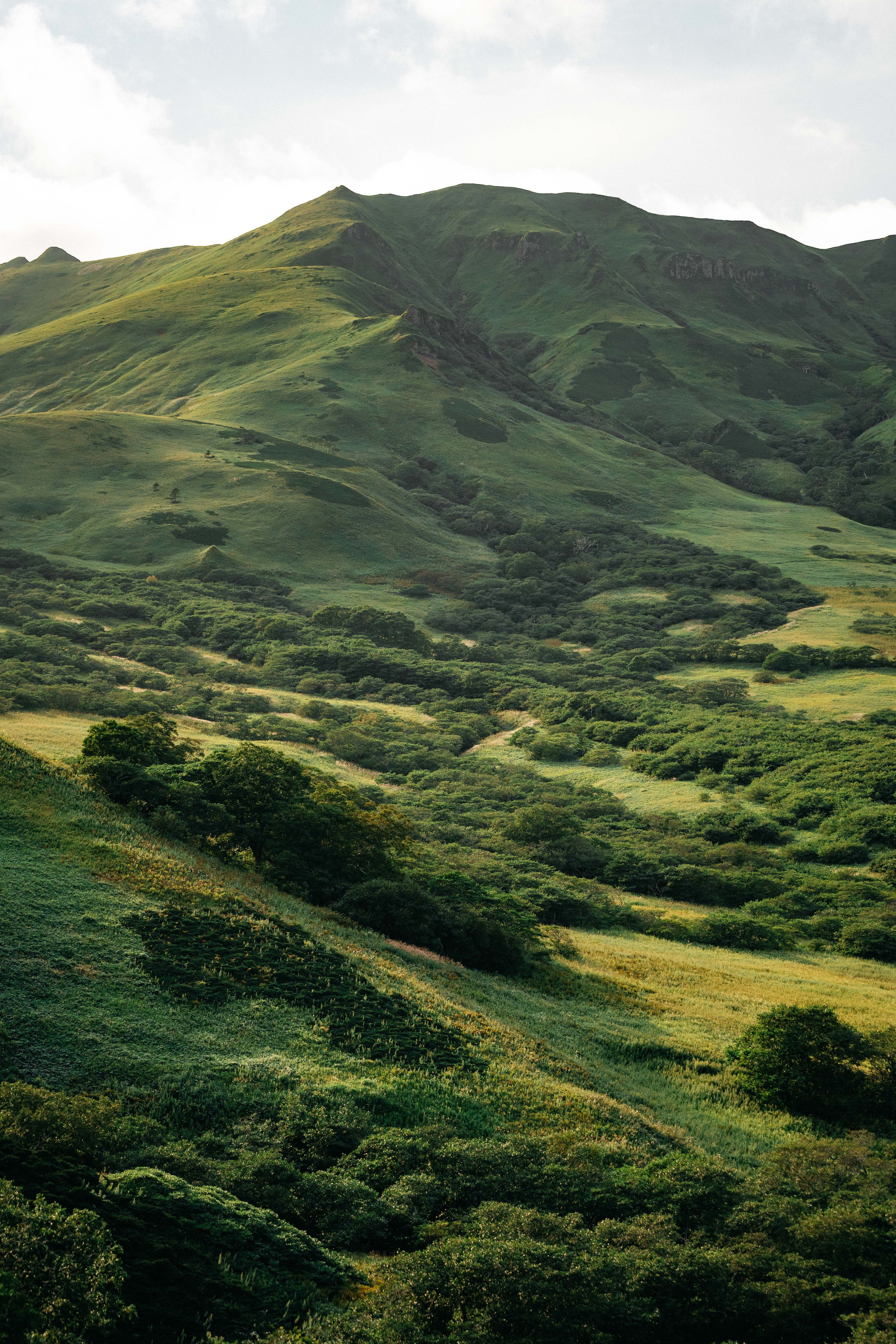 Сахалин. Event фотограф Степанова Александра