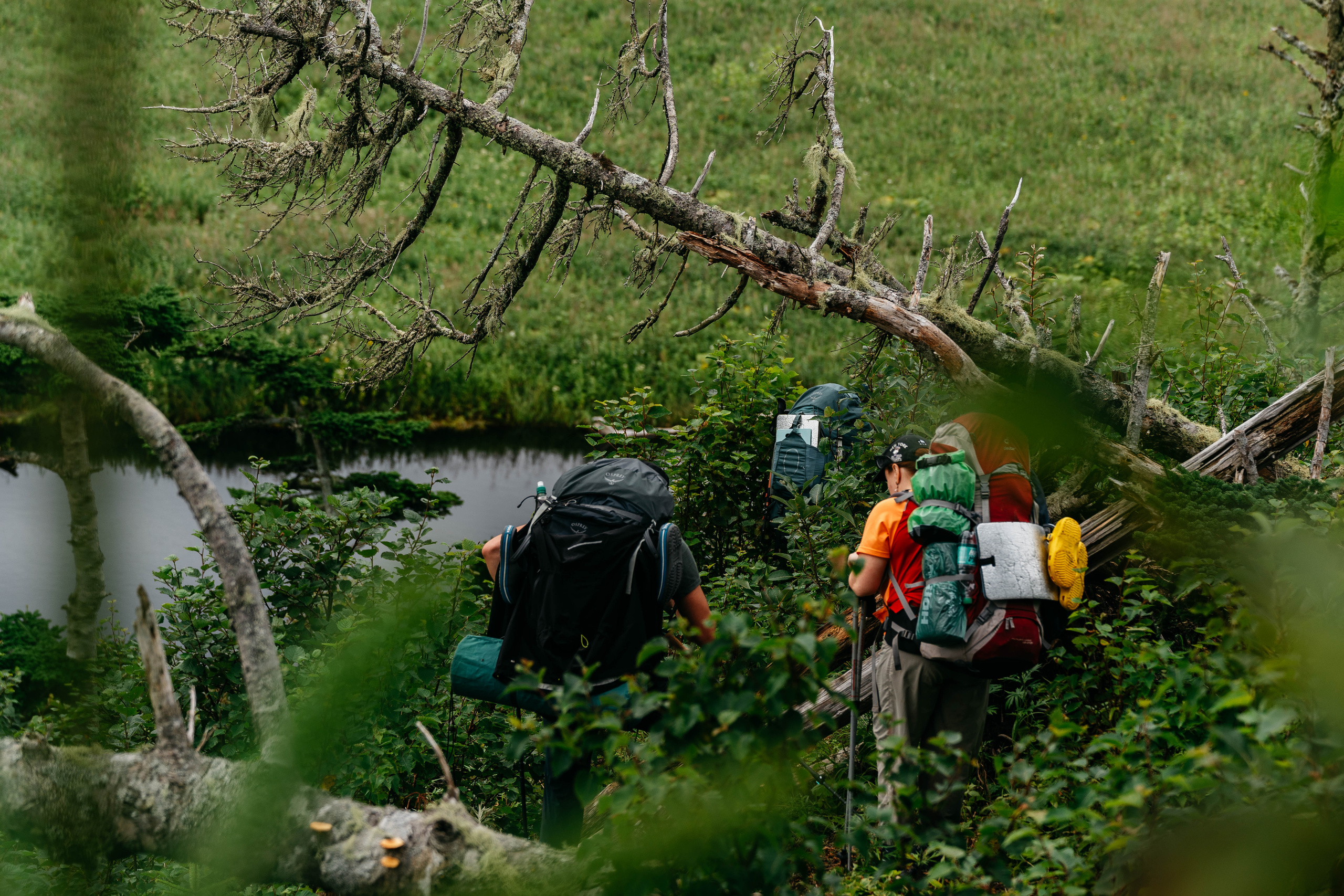 Сахалин. Event фотограф Степанова Александра
