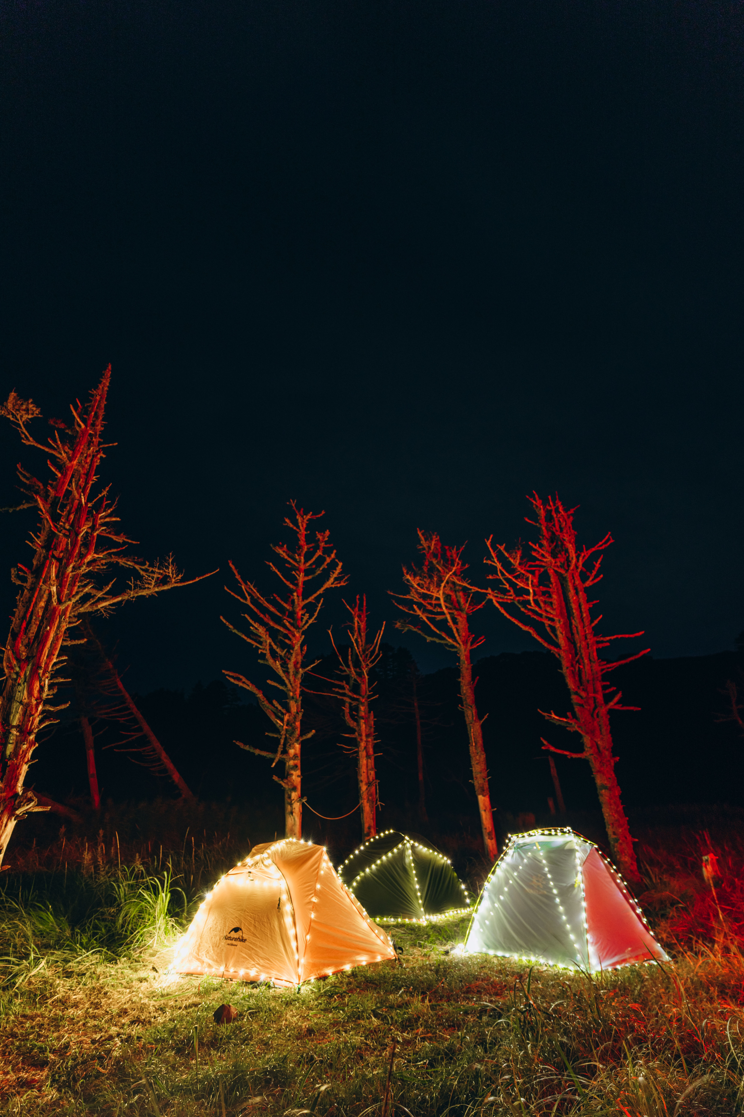 Сахалин. Event фотограф Степанова Александра