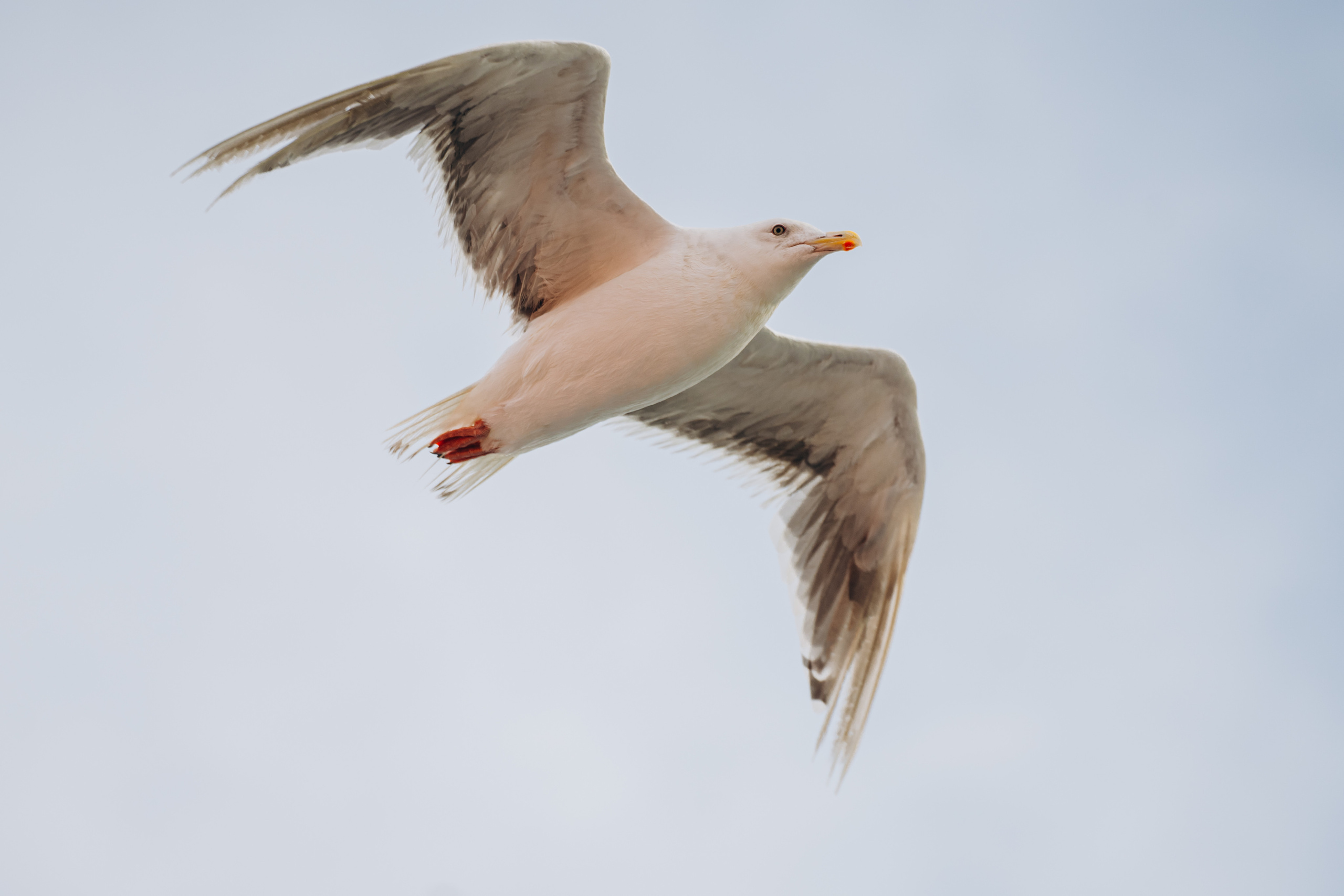 Сахалин. Event фотограф Степанова Александра