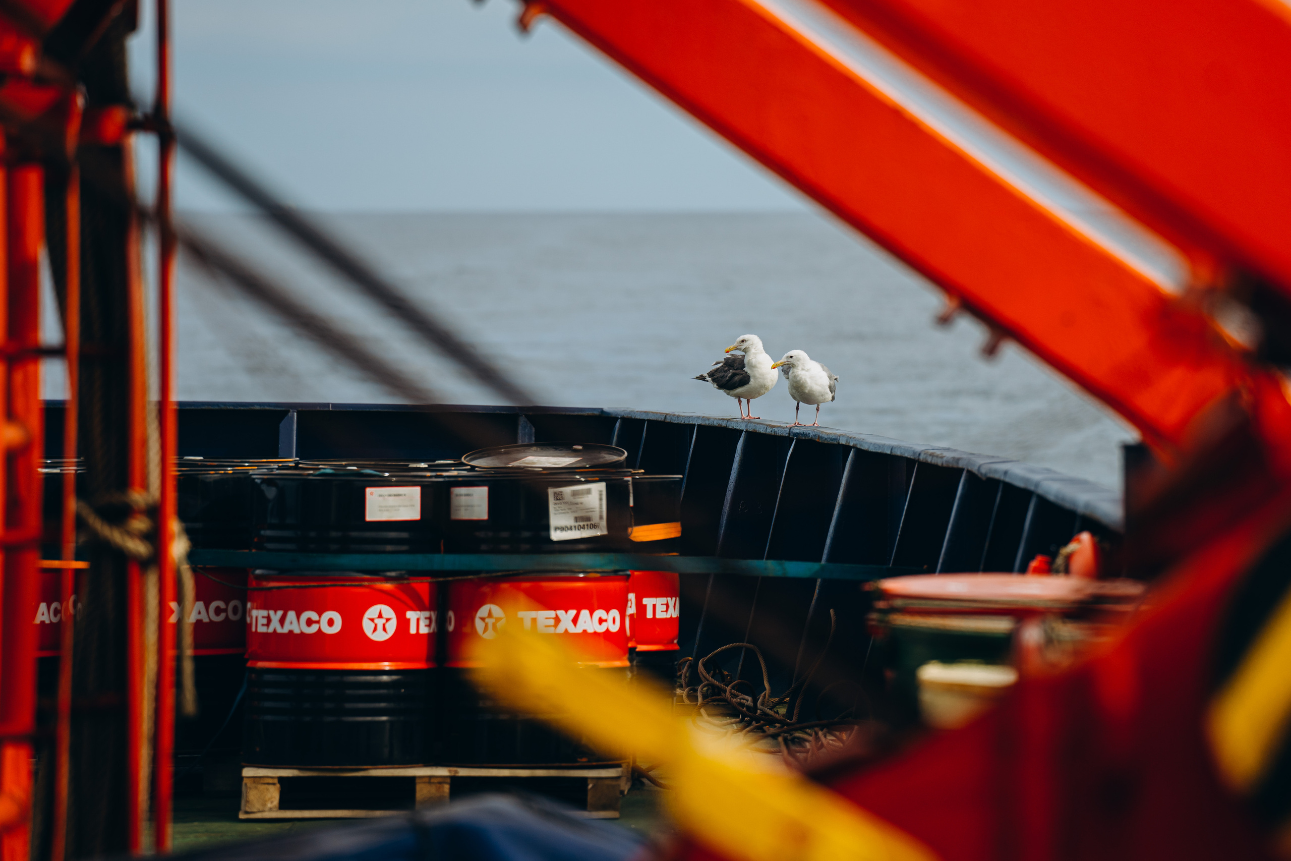 Сахалин. Event фотограф Степанова Александра