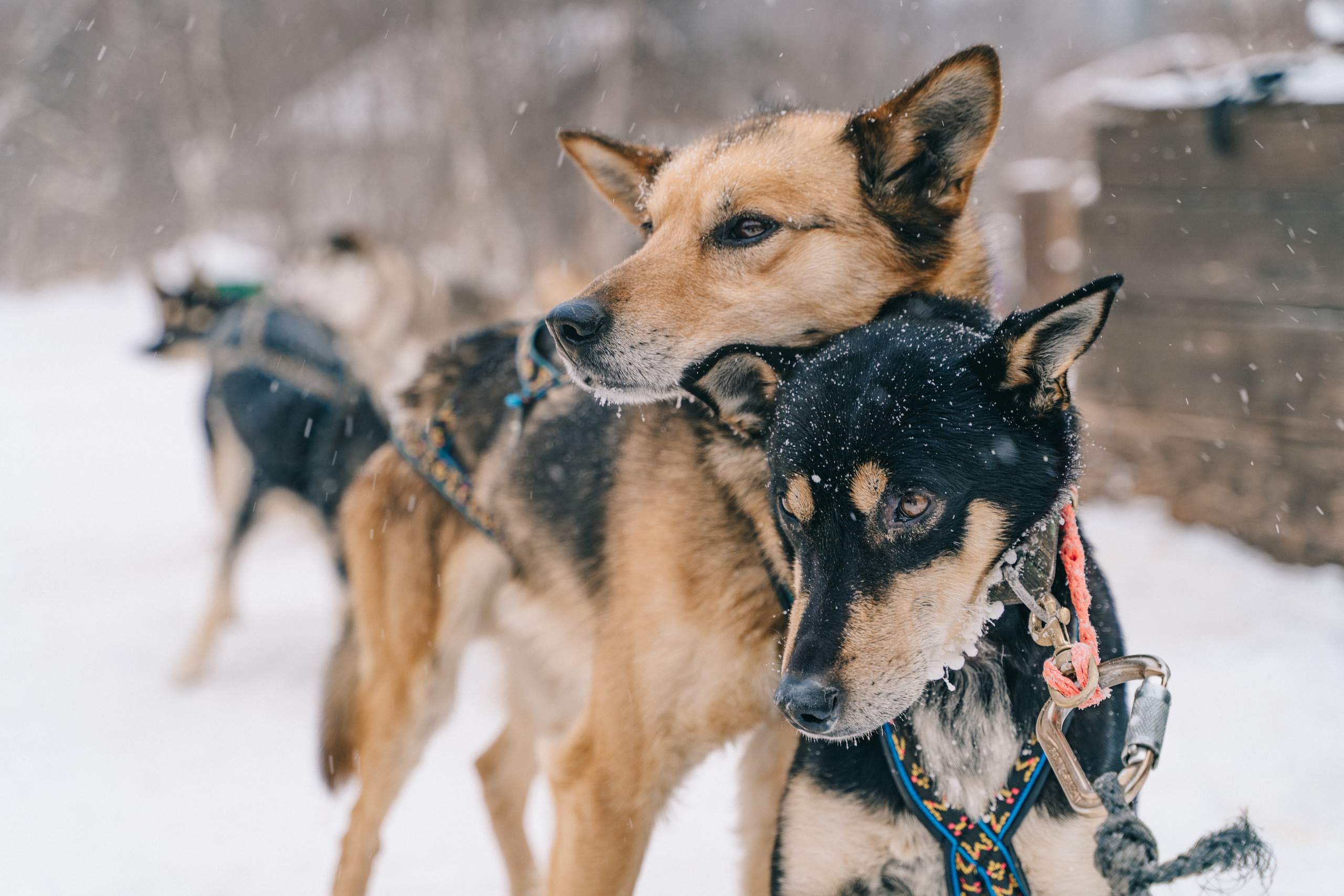 Байкал. Event фотограф Степанова Александра