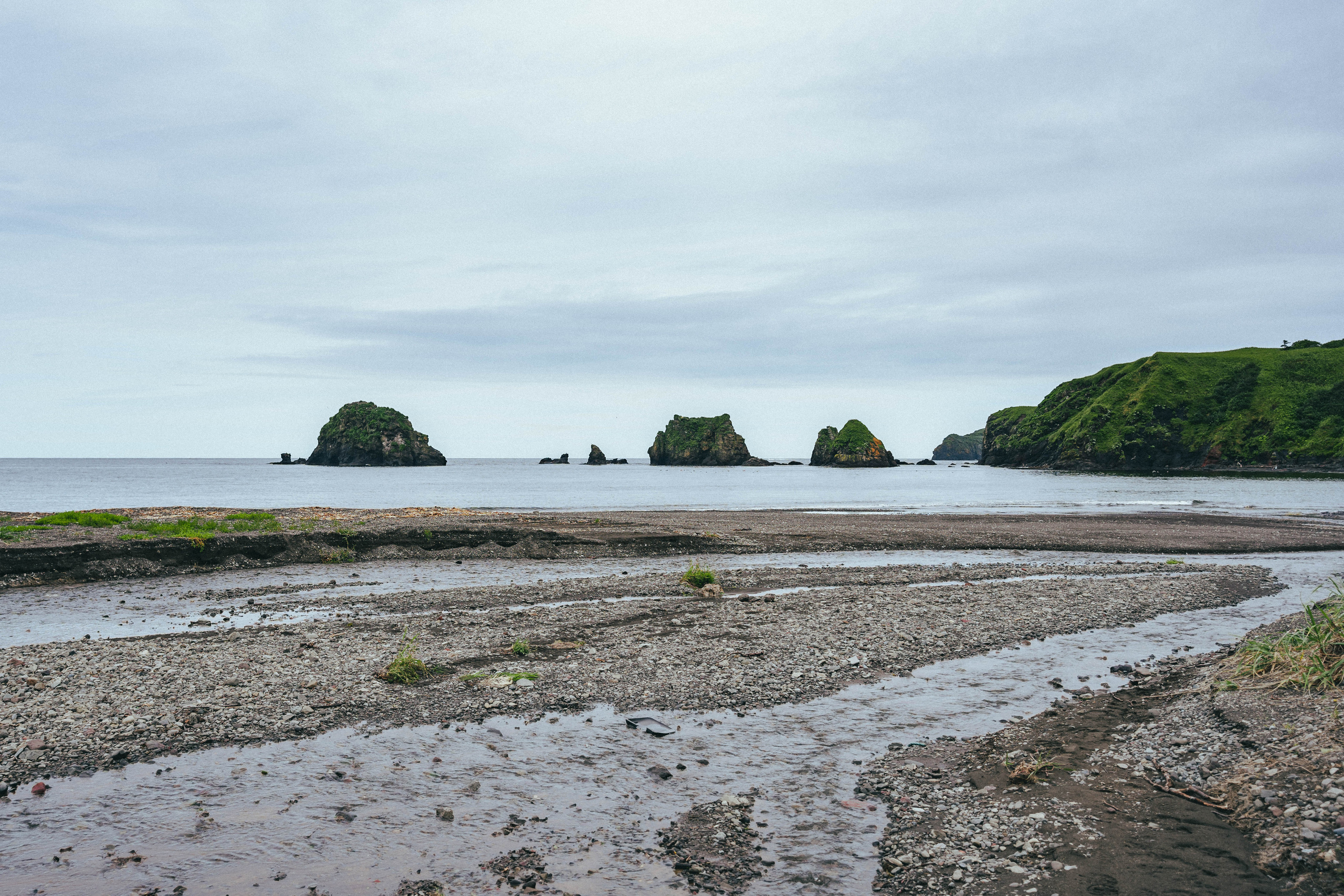 Сахалин. Event фотограф Степанова Александра