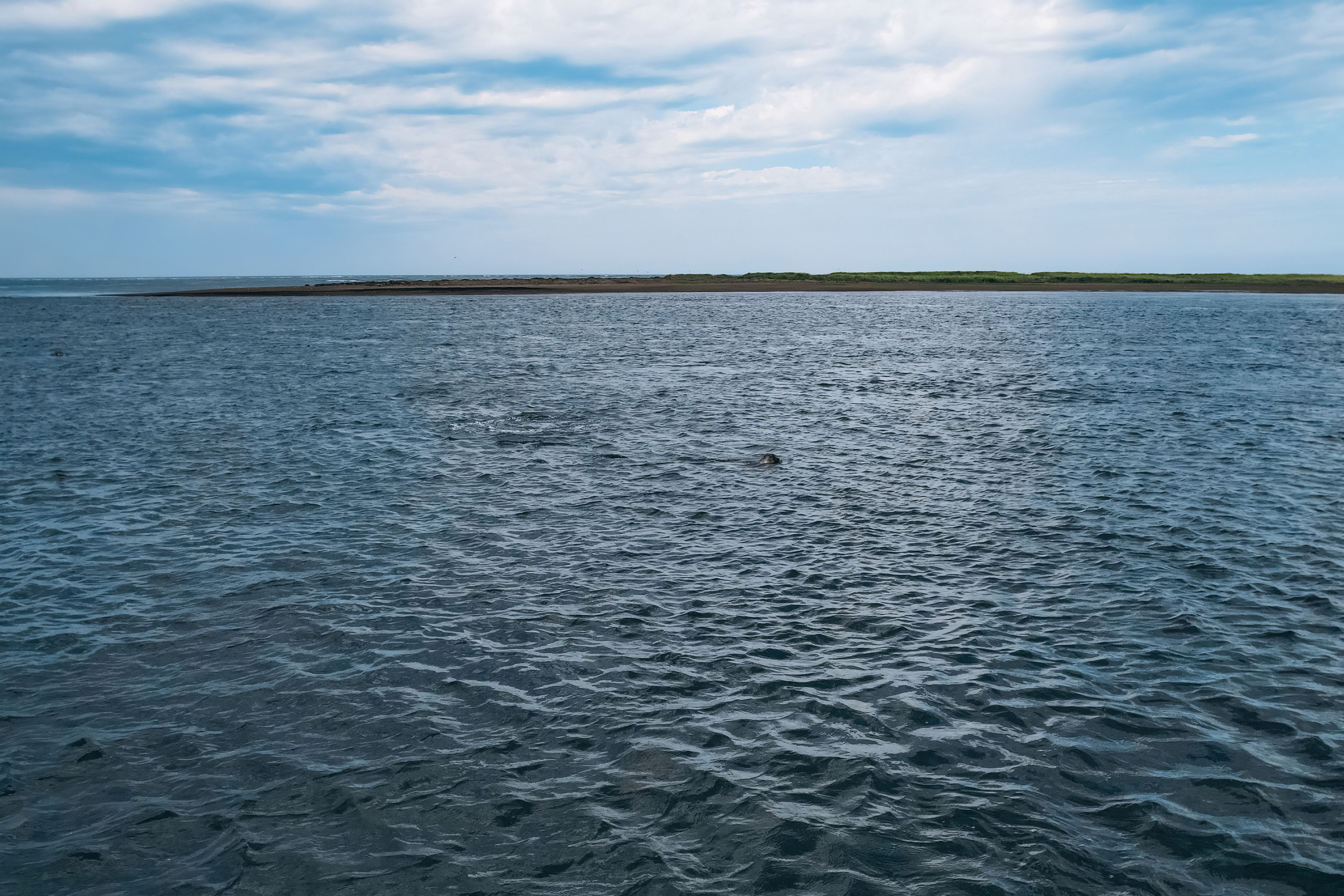 Сахалин. Event фотограф Степанова Александра