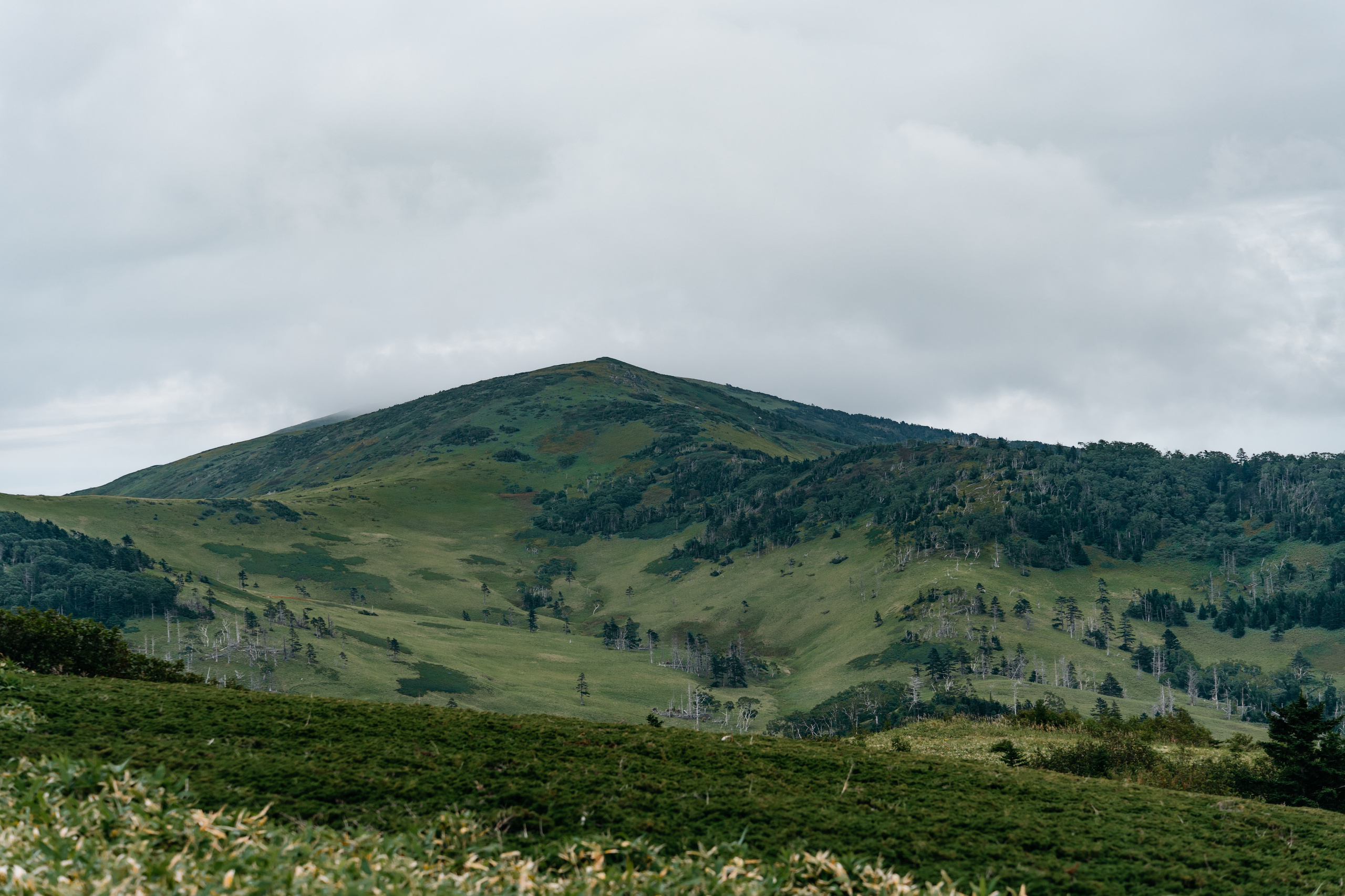 Сахалин. Event фотограф Степанова Александра